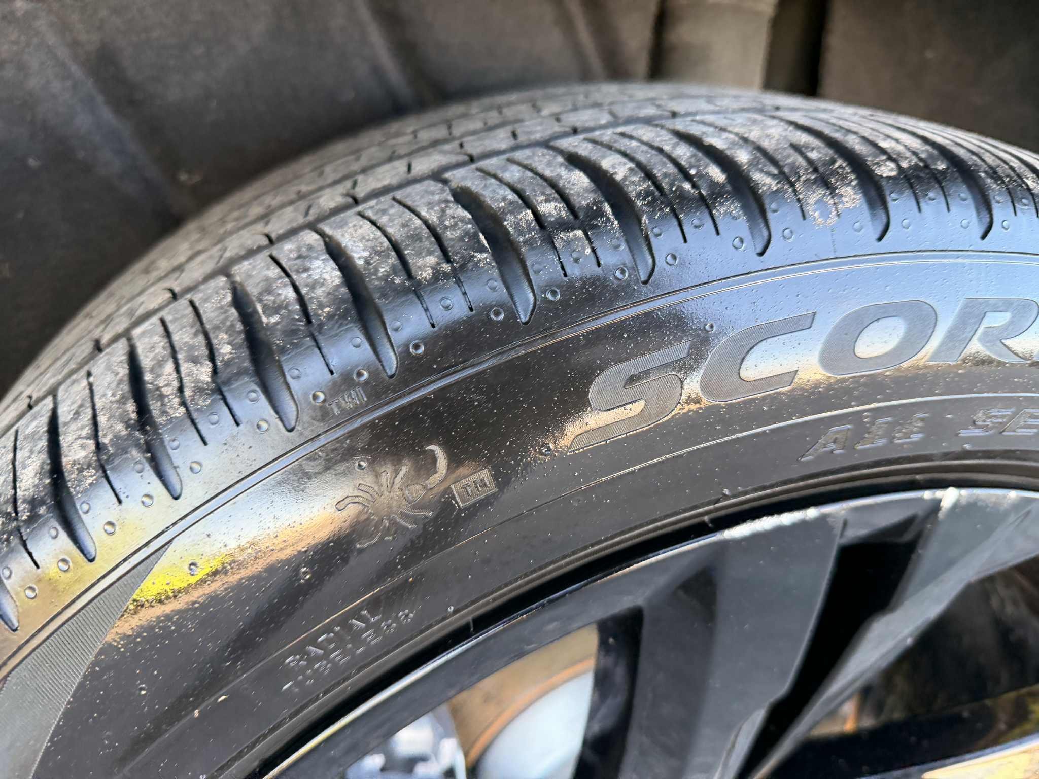 bfdd61be-d0b1-4613-b9c0-62ad748d83ae.jfif