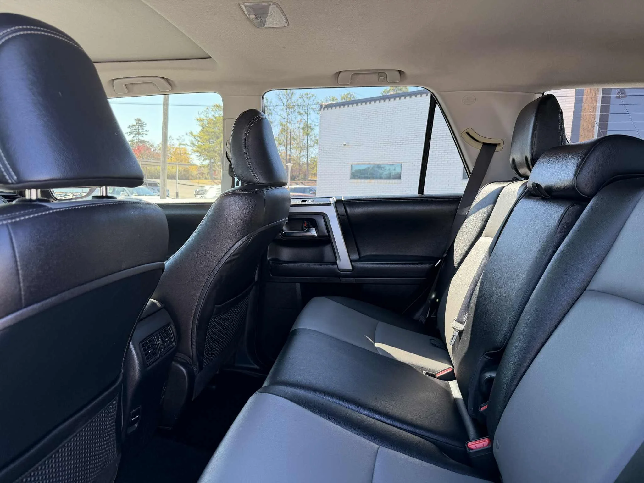 1195d12c-1463-40d3-aed7-9aacdd69ab8d.jfif