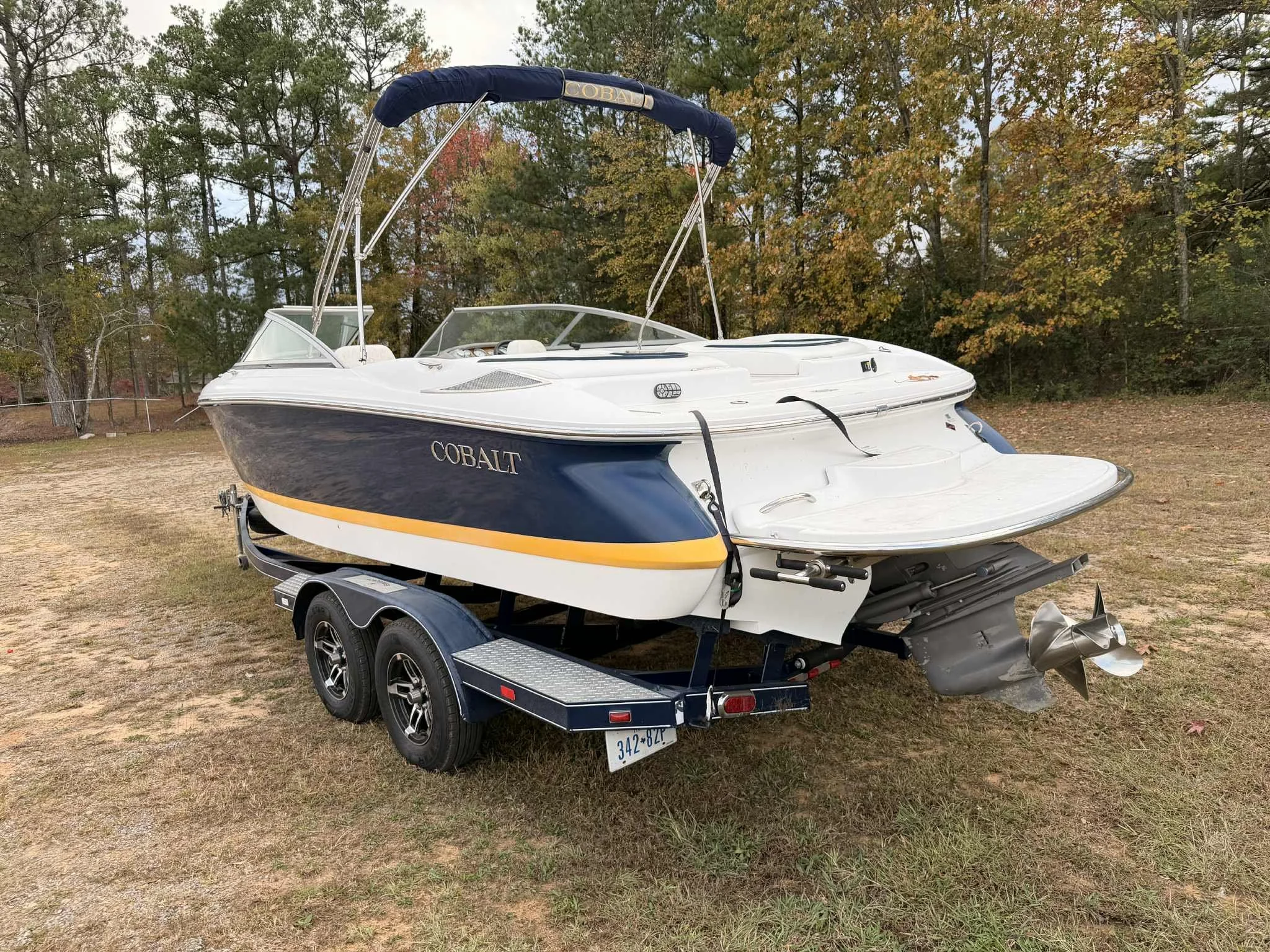 c85e8bbc-36cb-488d-a45b-ba57001d92d1.jfif