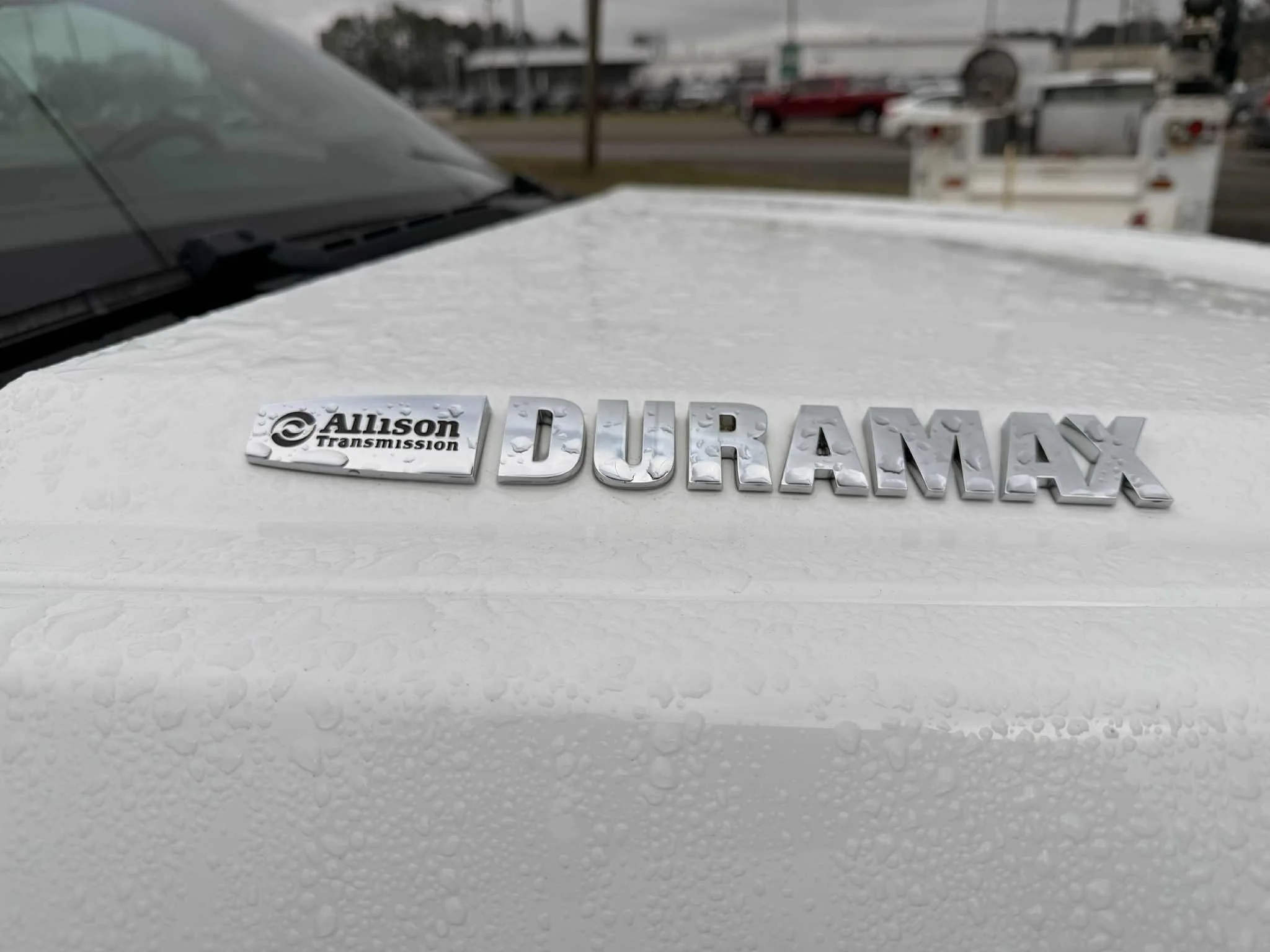 3dbe37cd-a3d1-46e0-bdc1-f1fbbfa0961a.jfif