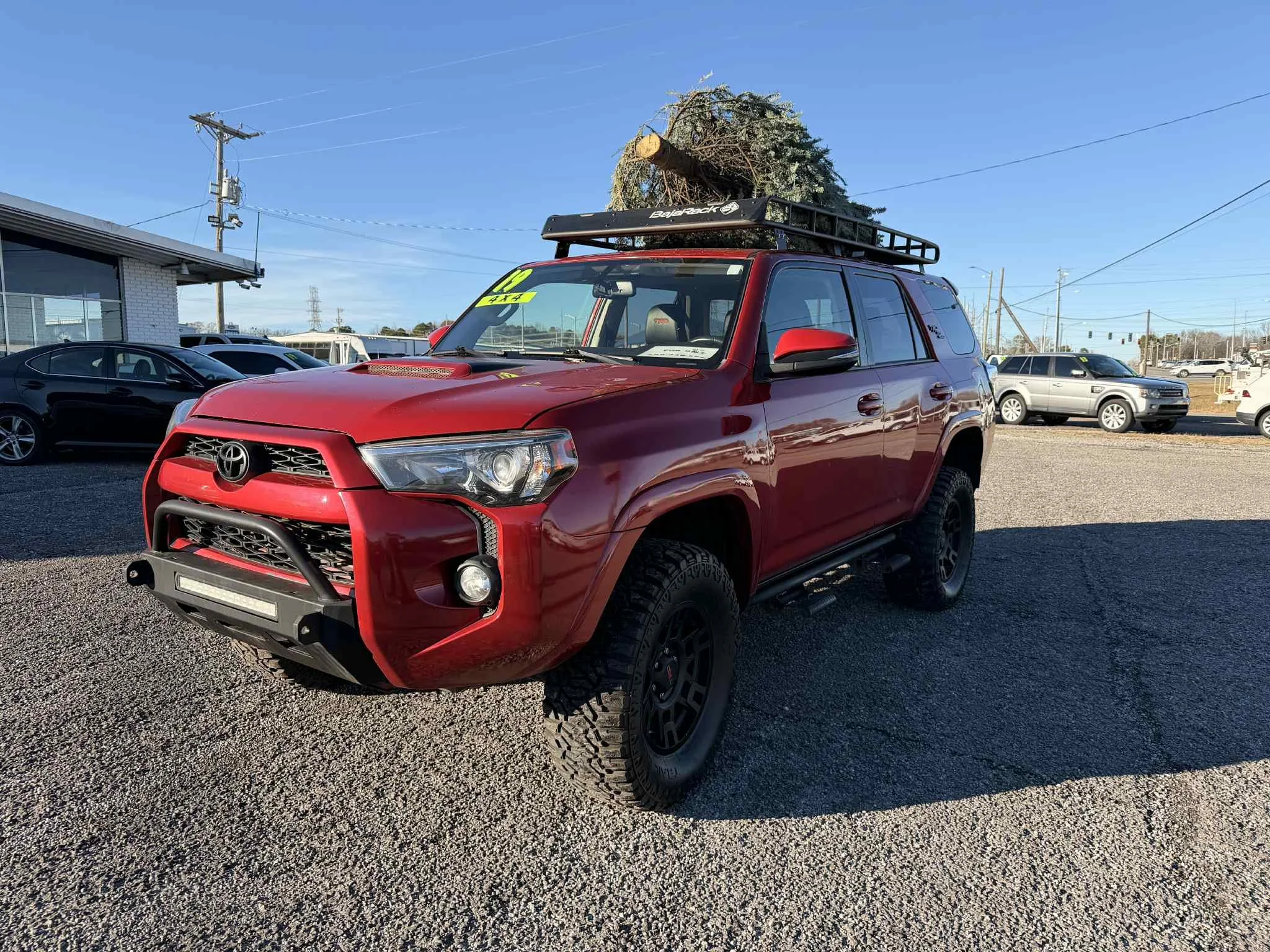 1559ac9b-4d97-43b1-a820-b49d4ea39302.jfif