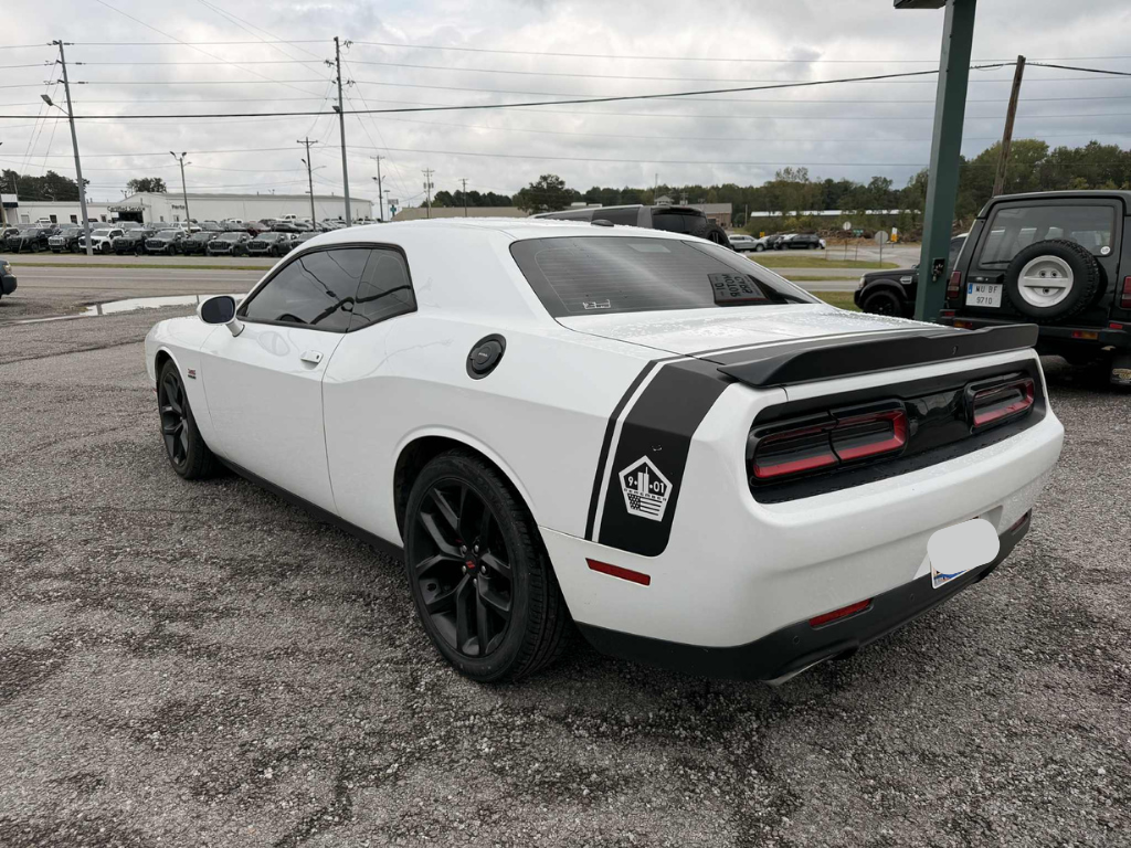 Untitled design (4).png