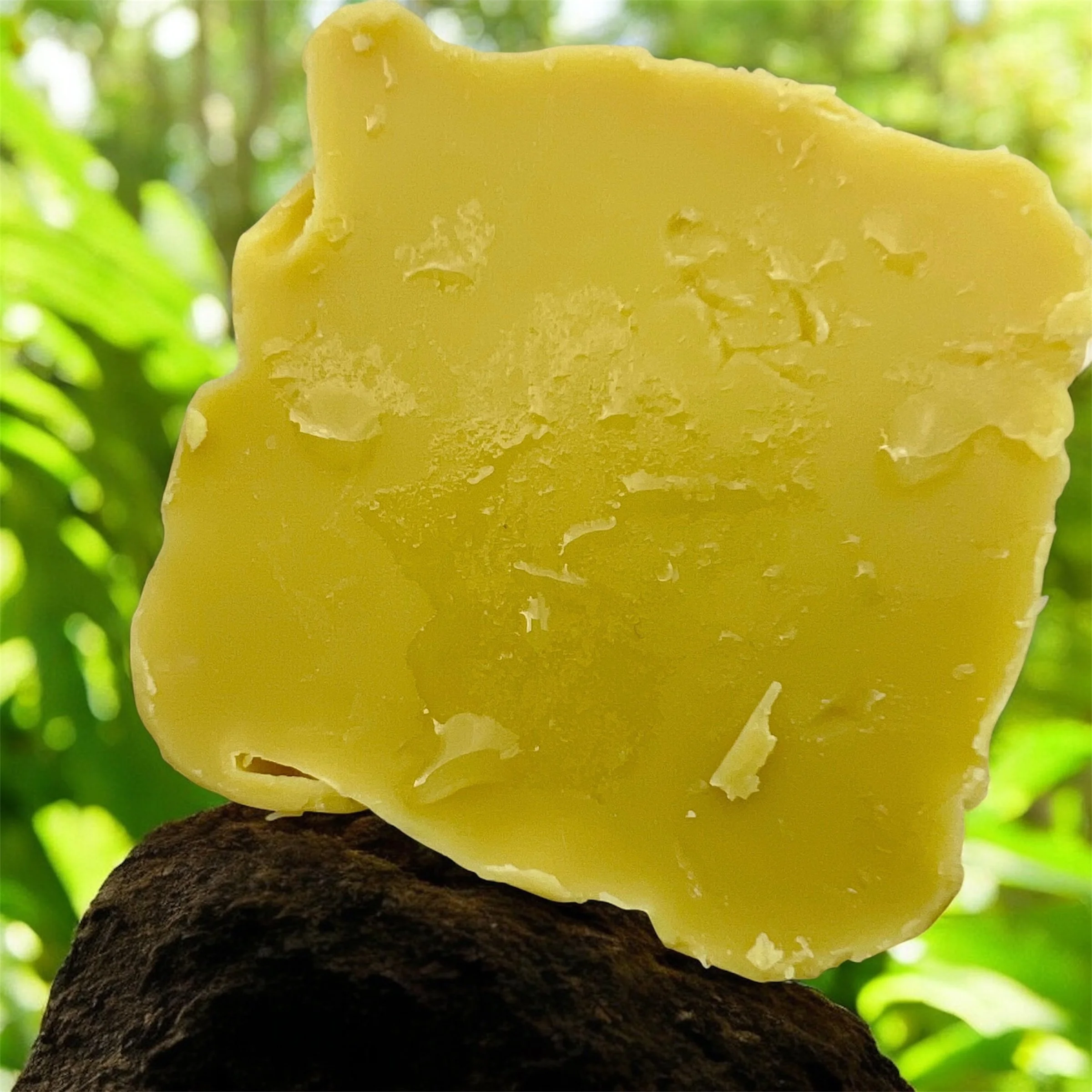 Kokum and Shea Butter Zero-Waste Conditioner Bar