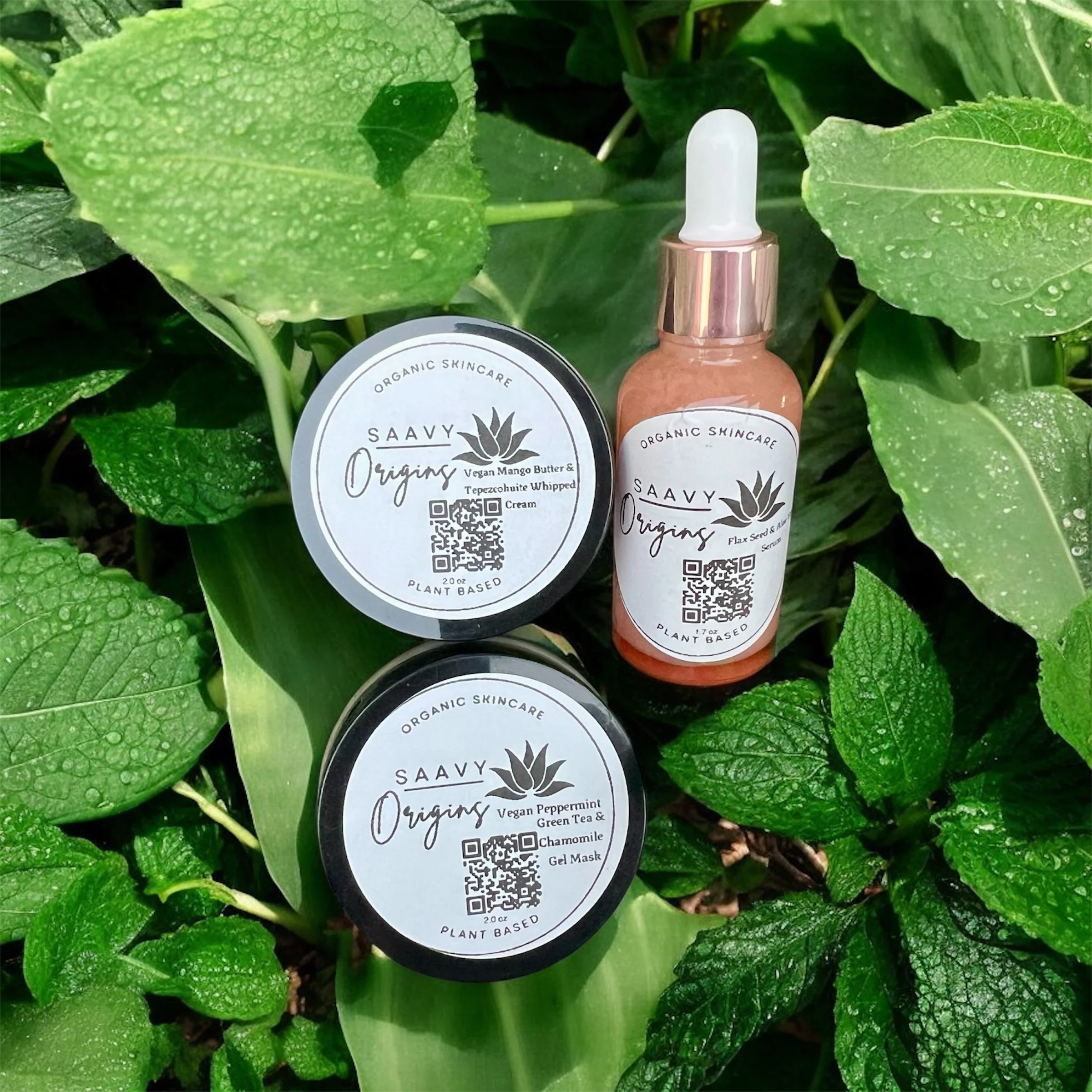 Moisture & Glow Essentials Bundle