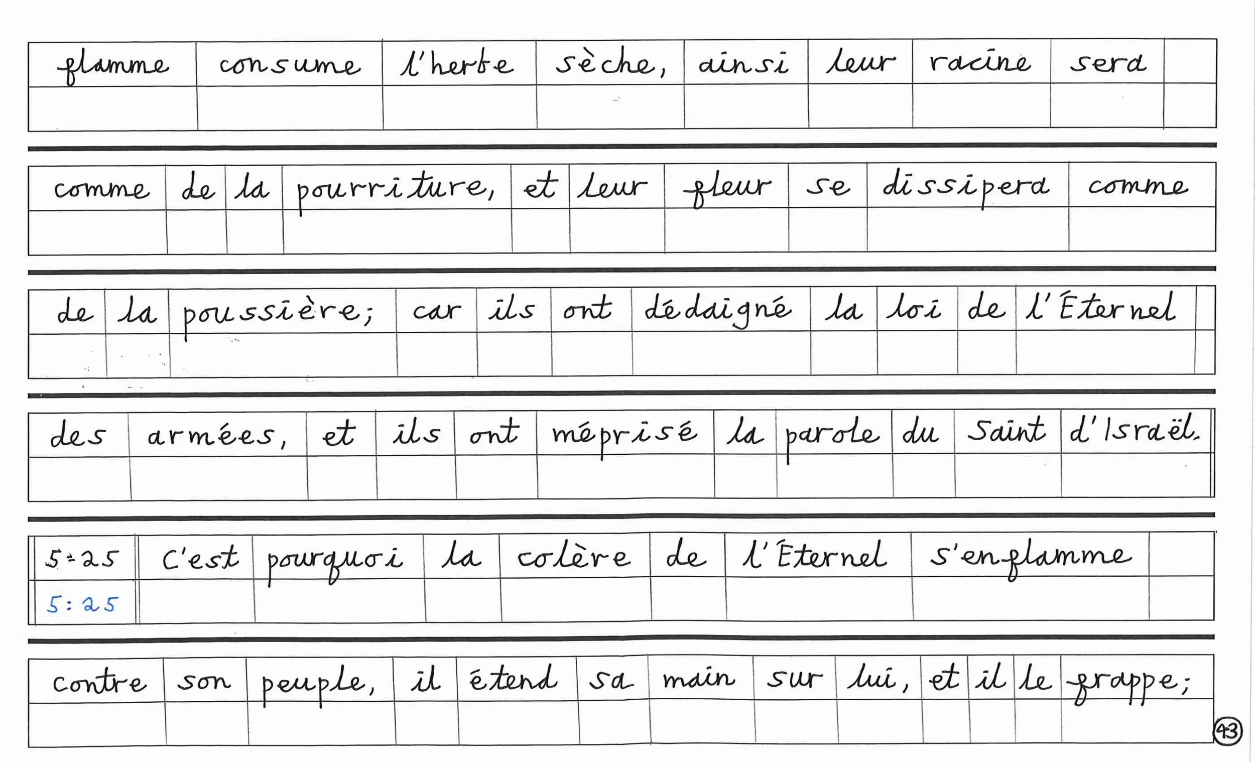 French2-images-42.jpg