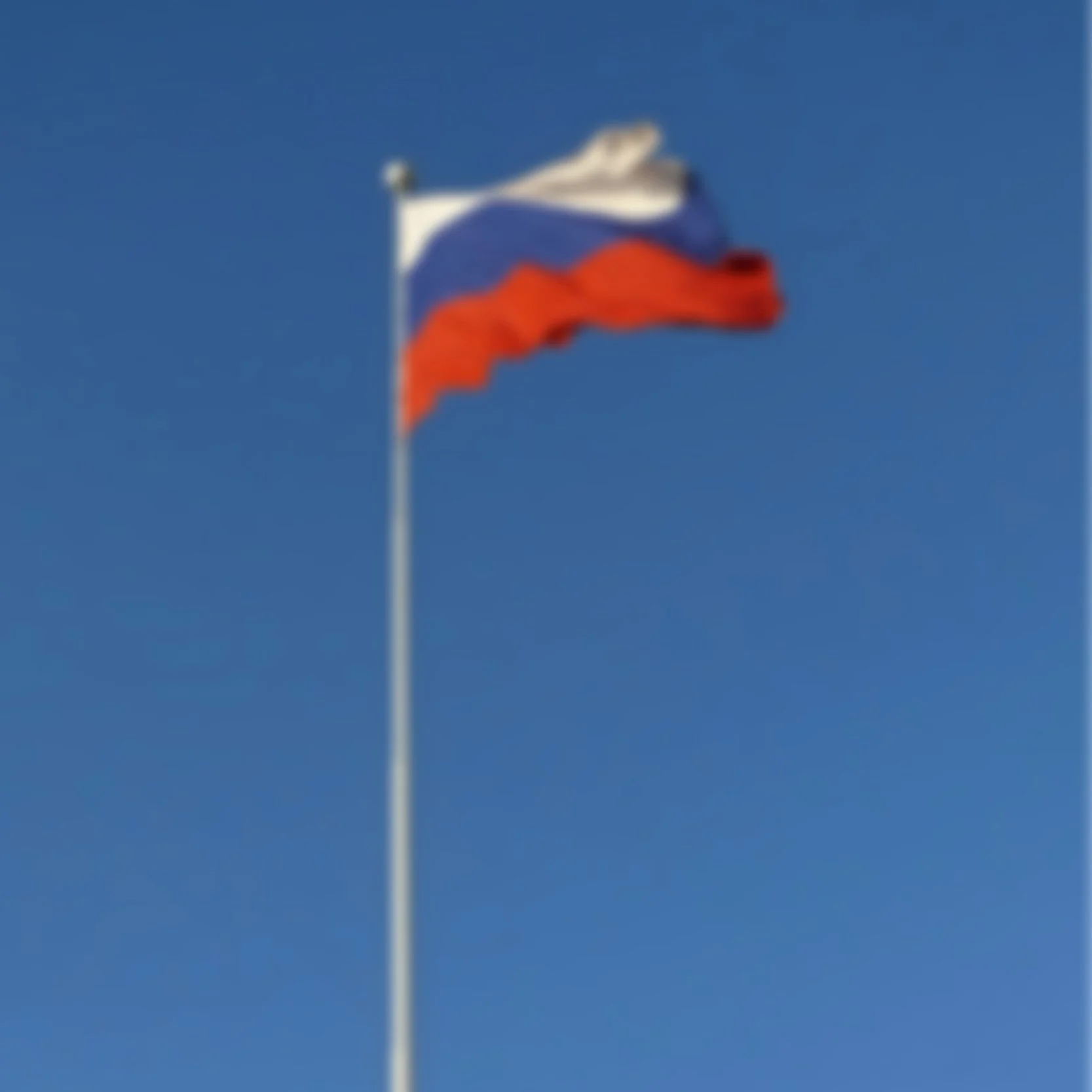 image-asset.jpg
