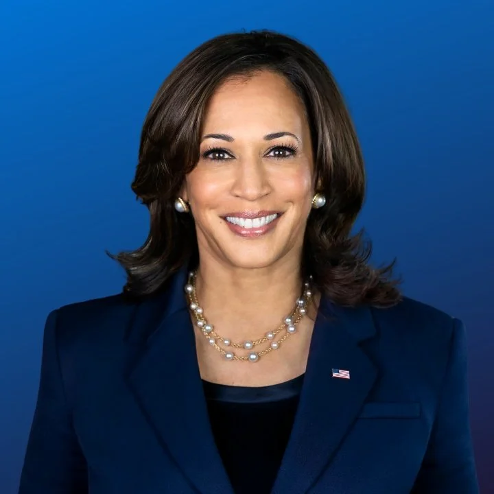 Early Voting Fayette Democrats early-voting-fayette-democrats