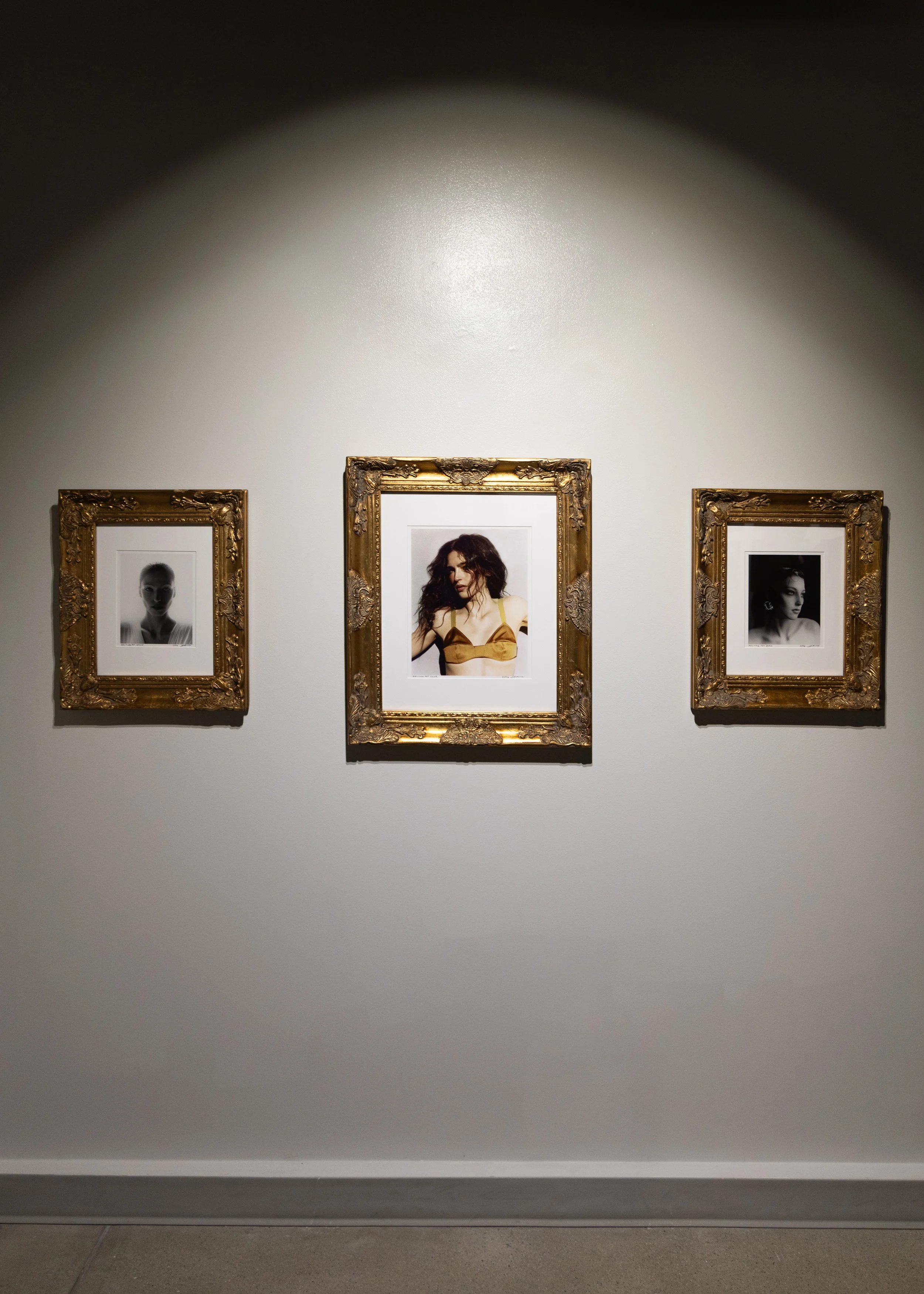 BrookeWiersdorfGallerySample2026-12.jpg