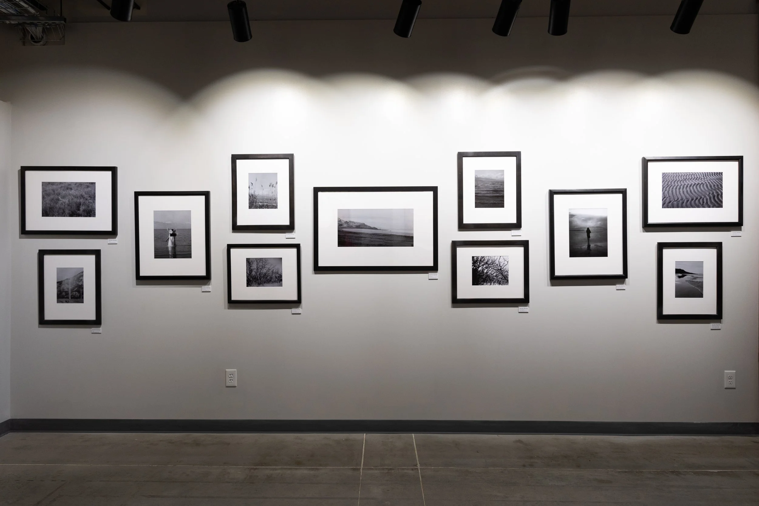BrookeWiersdorfGallerySample2026-1.jpg