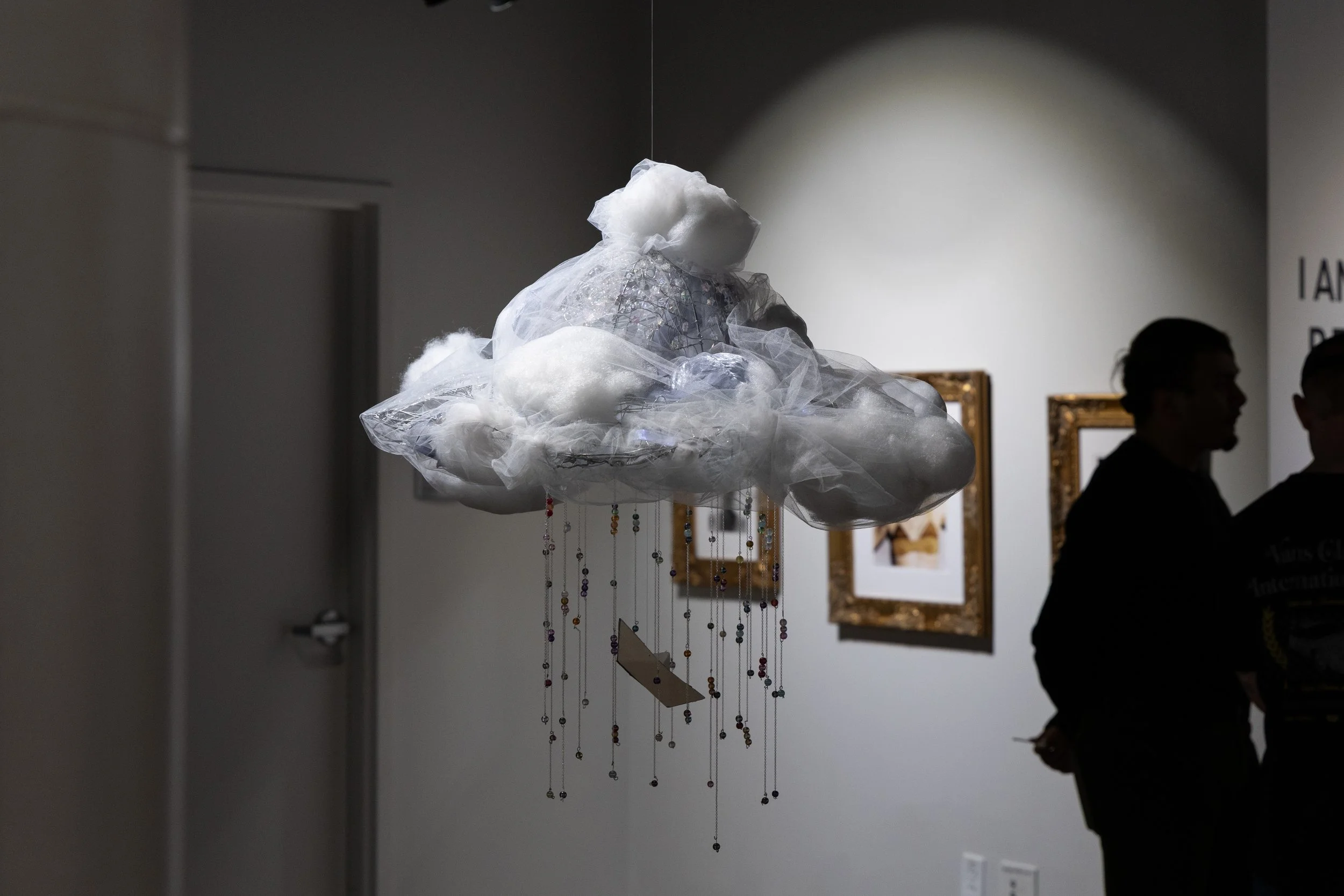 BrookeWiersdorfGallerySample2026-10.jpg