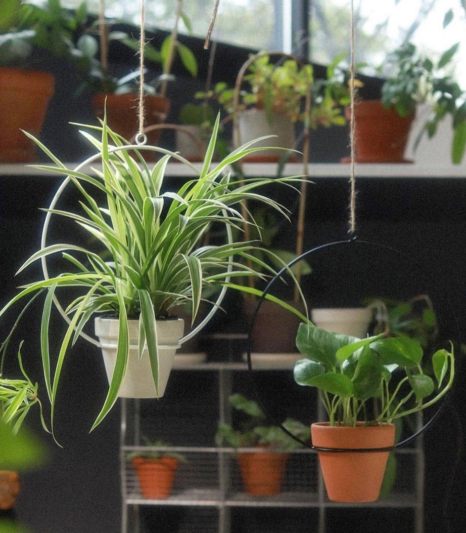 newmade la circle planter2.jpeg