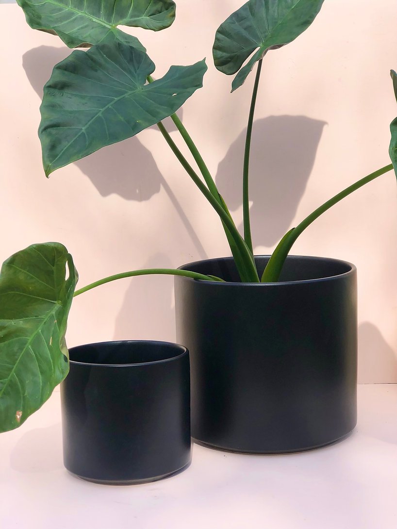 ceramic pots 2.jpeg
