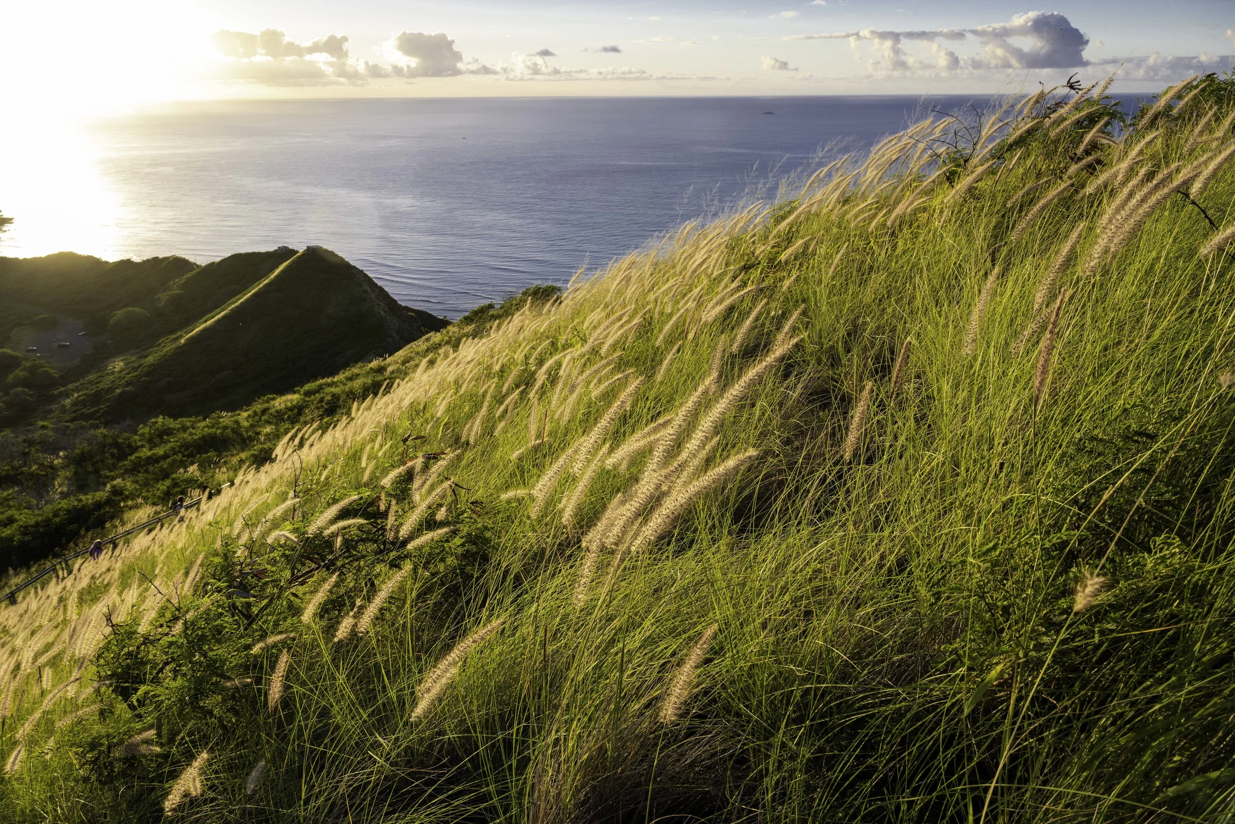 Sunrise at Diamond Head