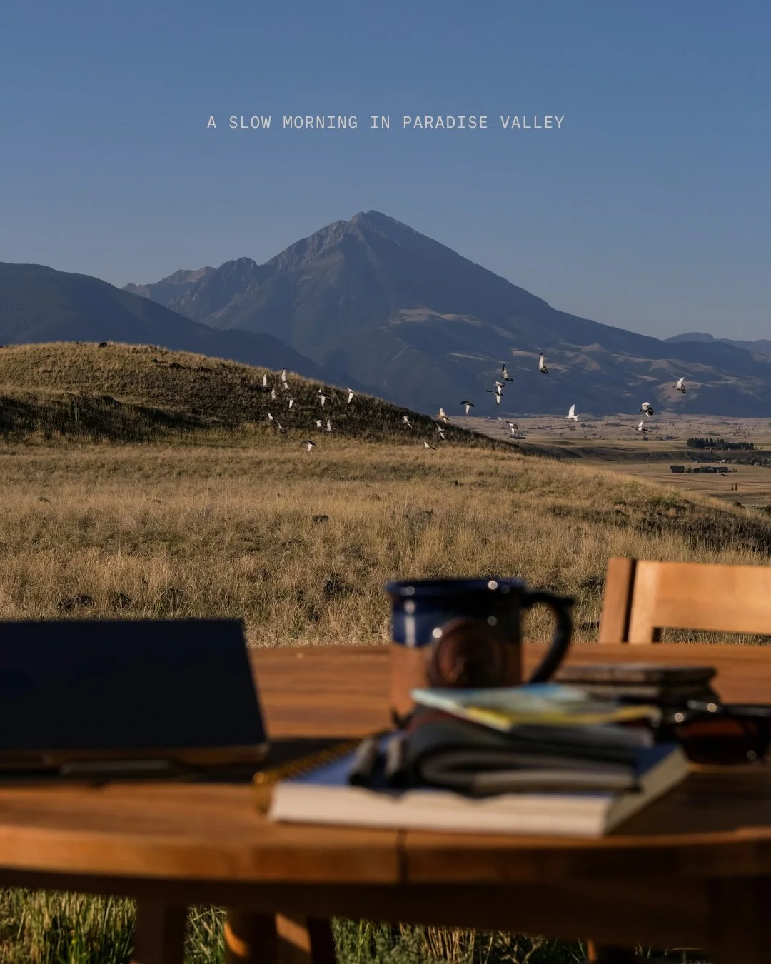 Wake up in Paradise Valley with the mountains catching first light and pronghorn moving through the meadow just outside your window. 

Link in bio to book your stay.