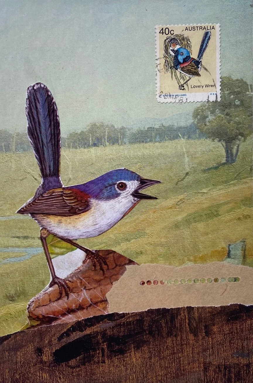 Postcard wren 2.jpg