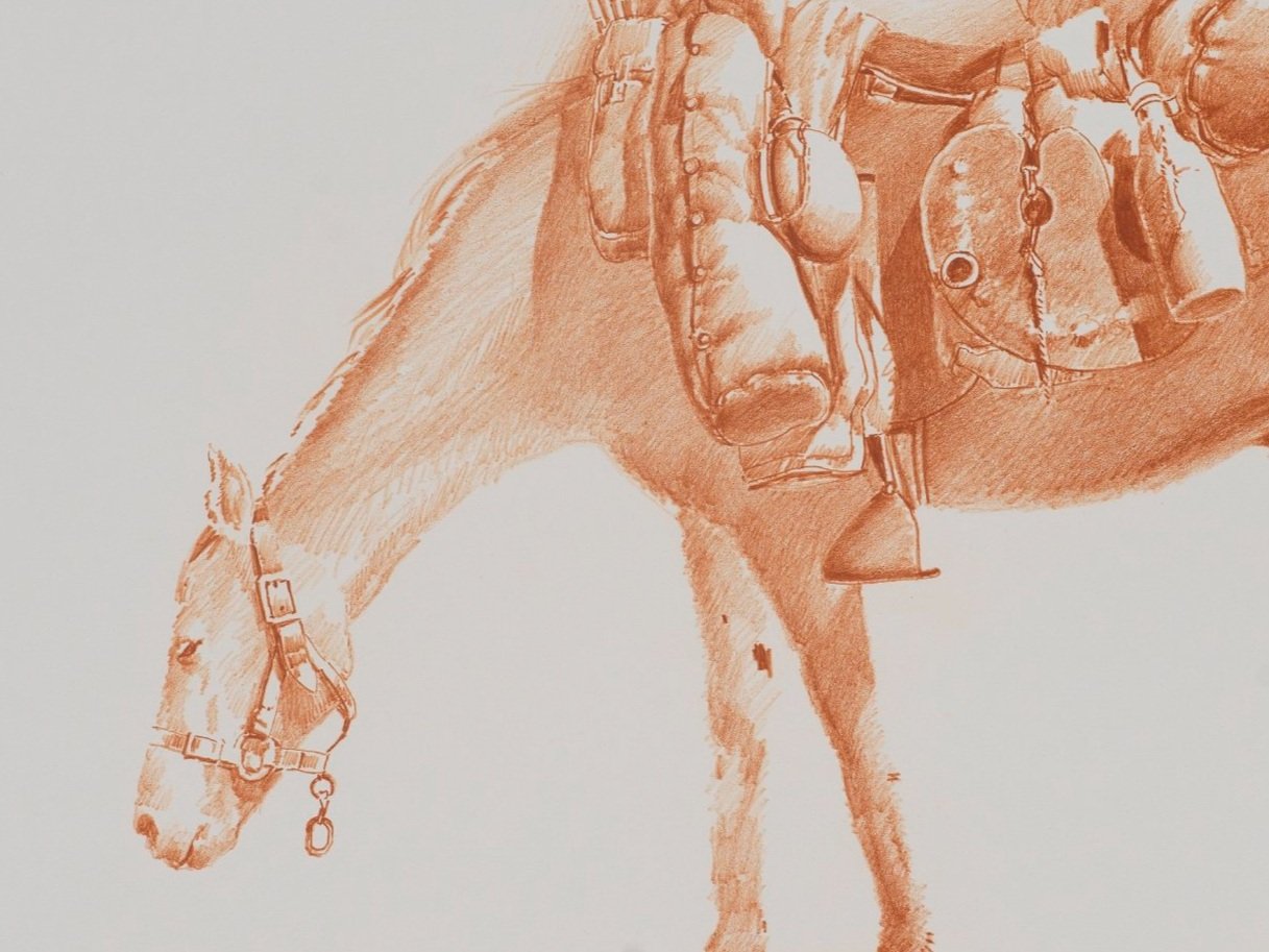 Equine+Impedimenta+%28study%29+Left+2023+Lithograph+GG0018.jpg