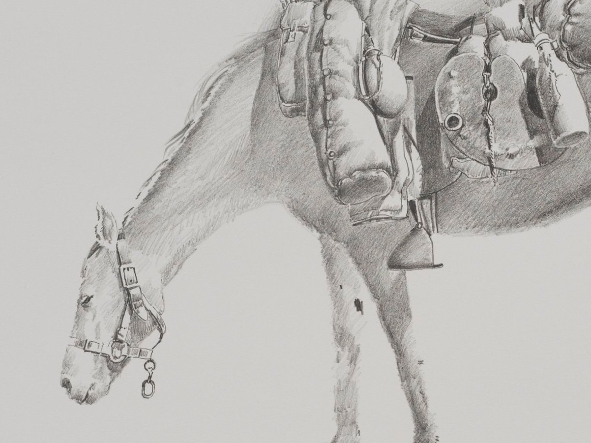 Equine+Impedimenta+%28study%29+Left+2023+Lighograph+grey+GG0014.jpg