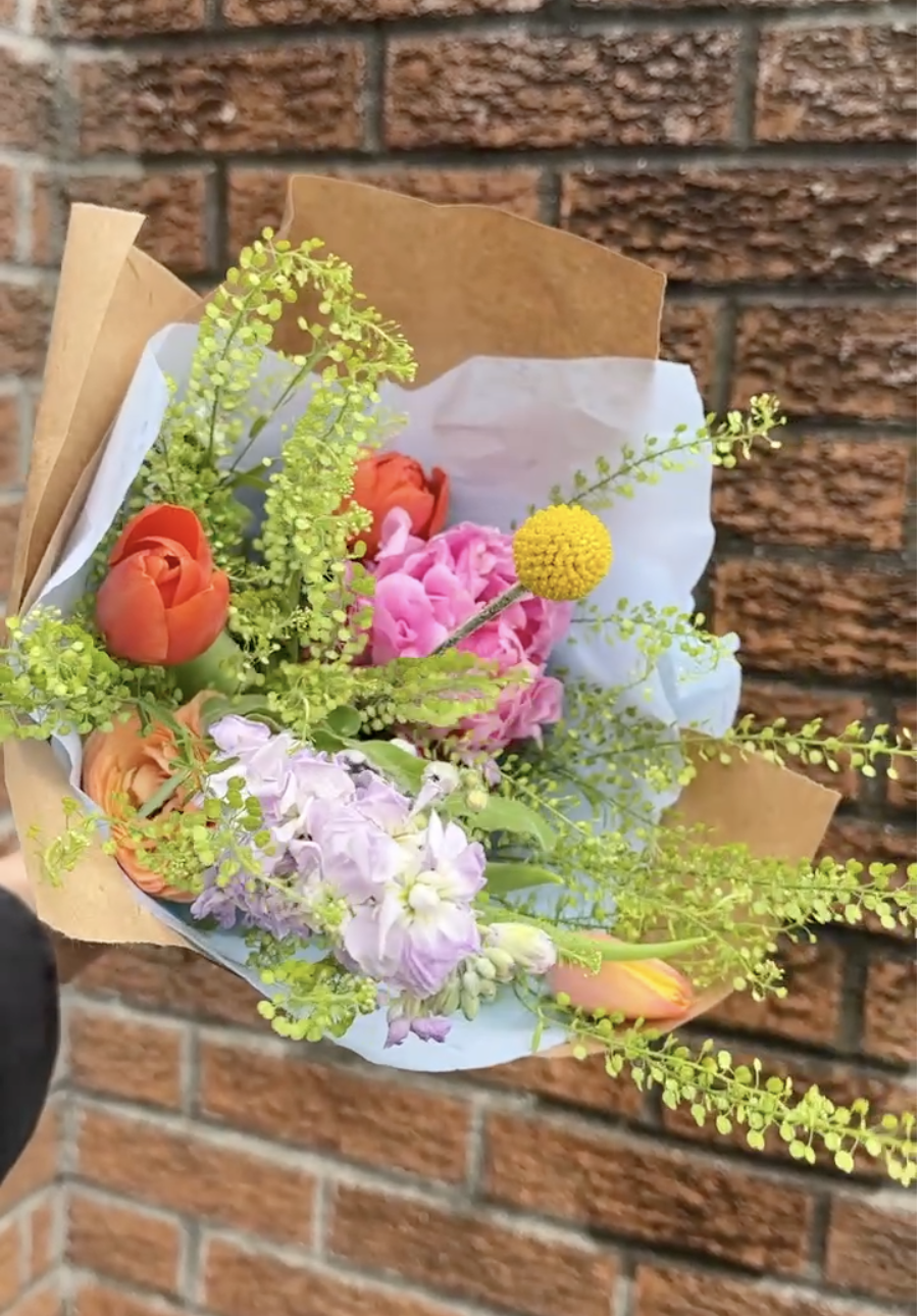 Screenshot 2026-03-11 at 5.29.13 PM.png