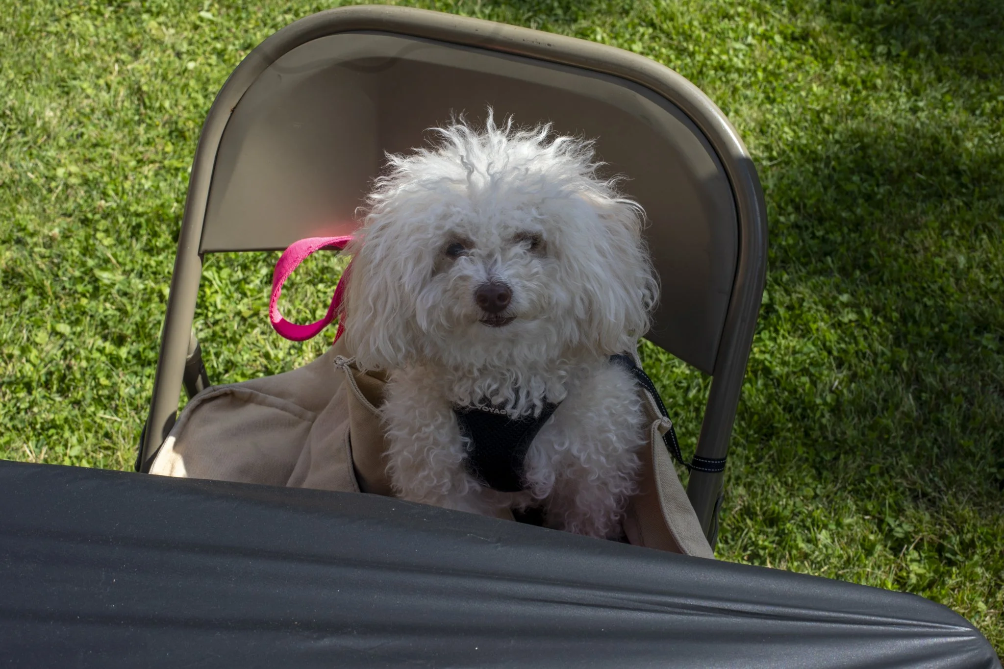 Juliana_OpenHouse_6.2026-132.jpg