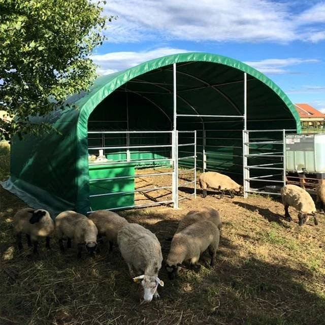 farm-large-shelter-sheep-horses-cattle.jpeg