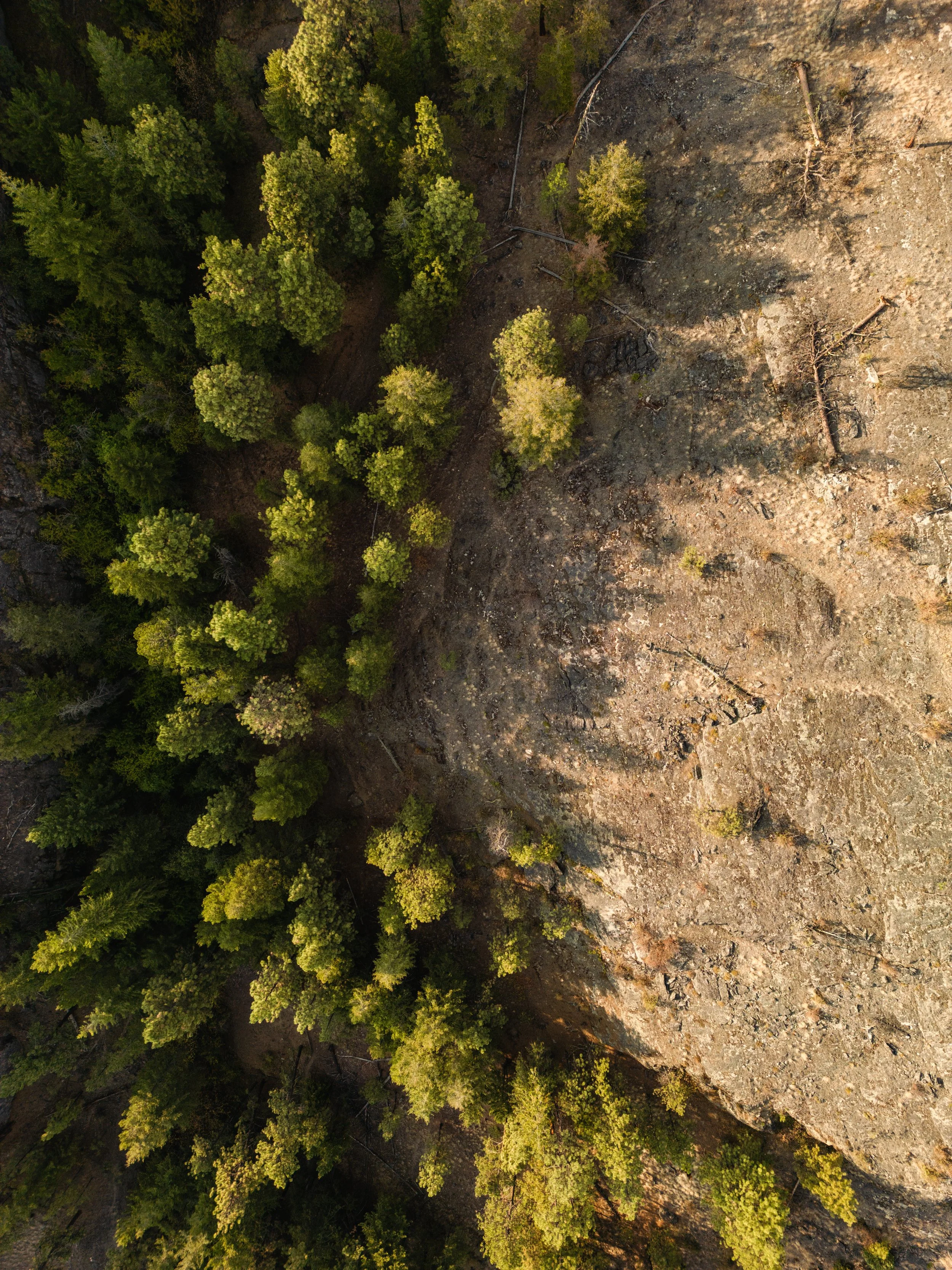 DJI_0851.jpg