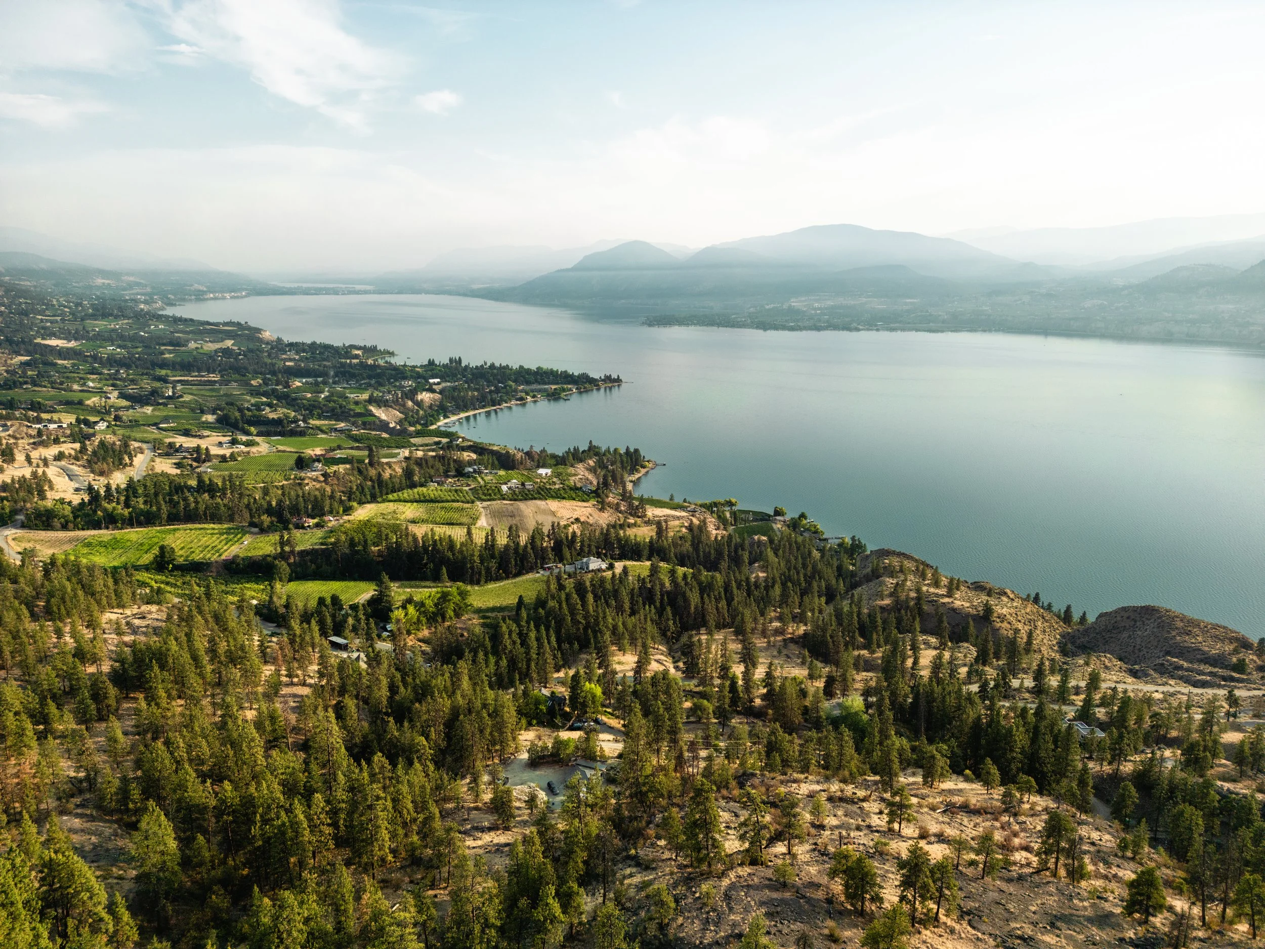 DJI_0850.jpg