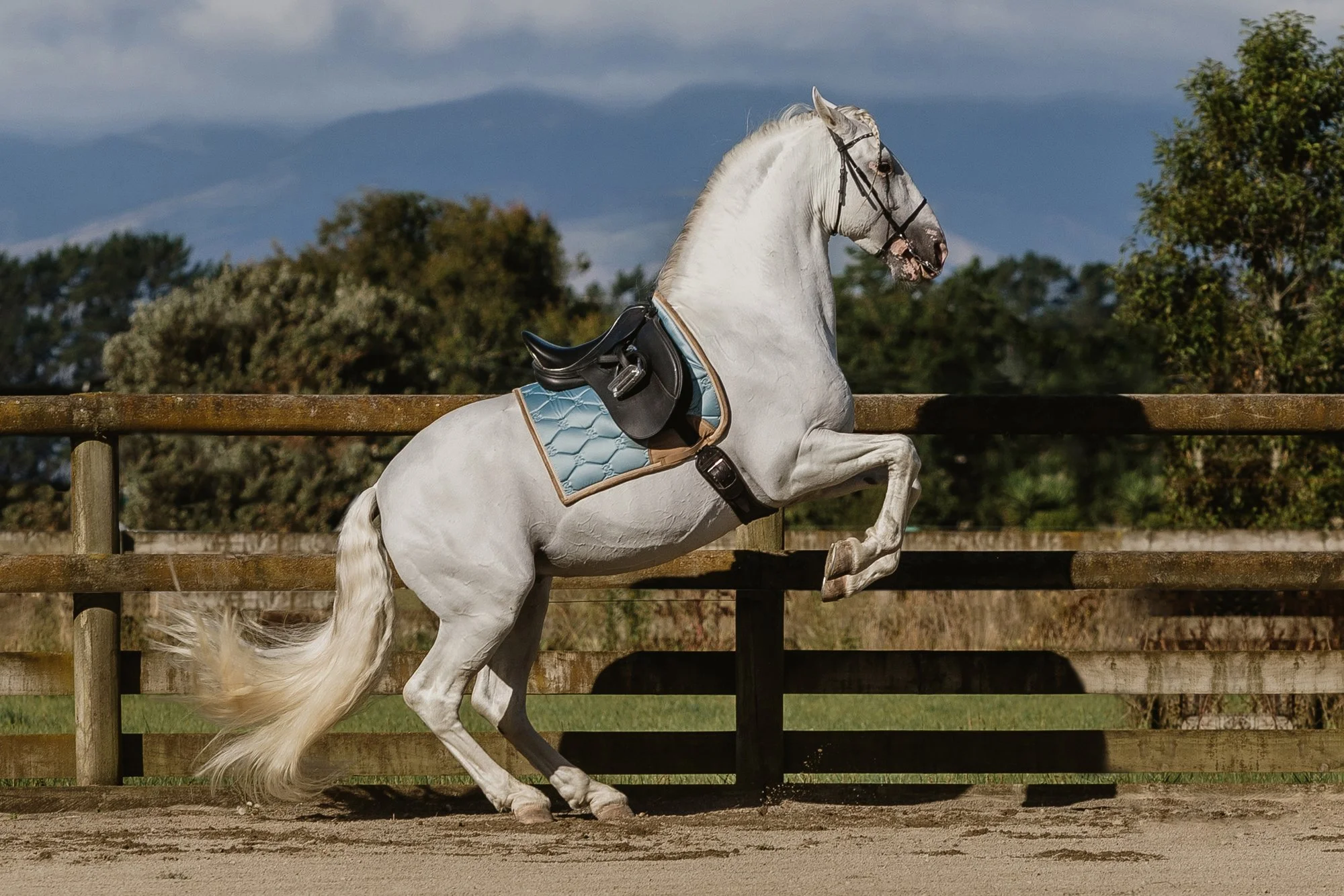 Clinic-Wednesday -32a.jpg