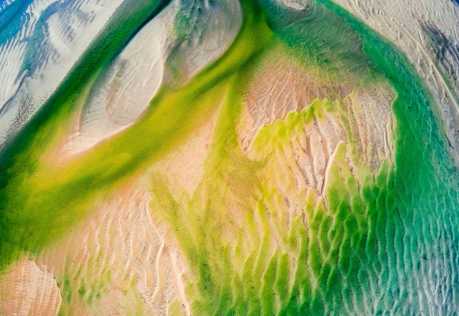 Aerial view of a landscape with winding rivers, green vegetation, and sandy terrain.