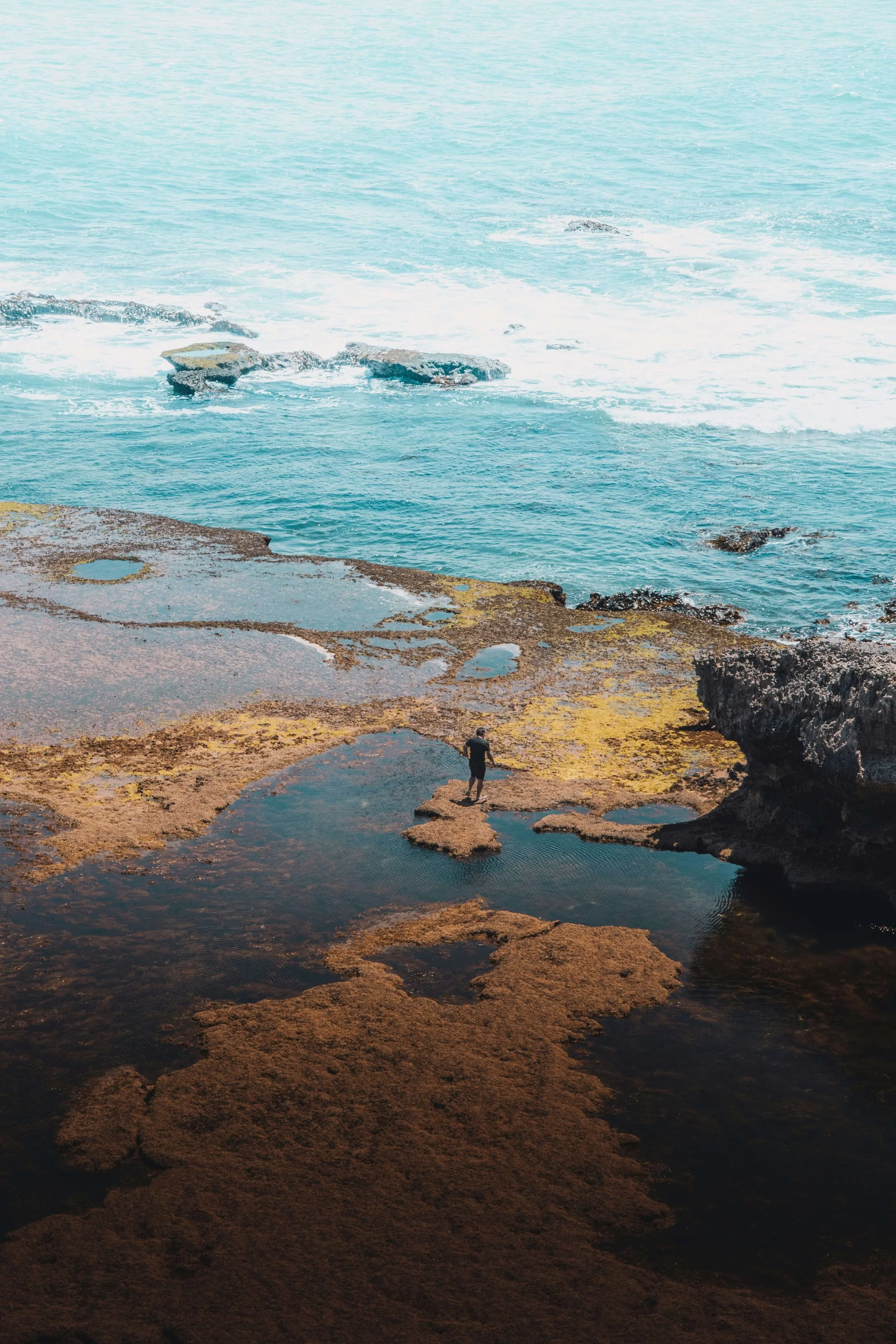 Person walking along tide pools and rocky shoreline with ocean in the background.