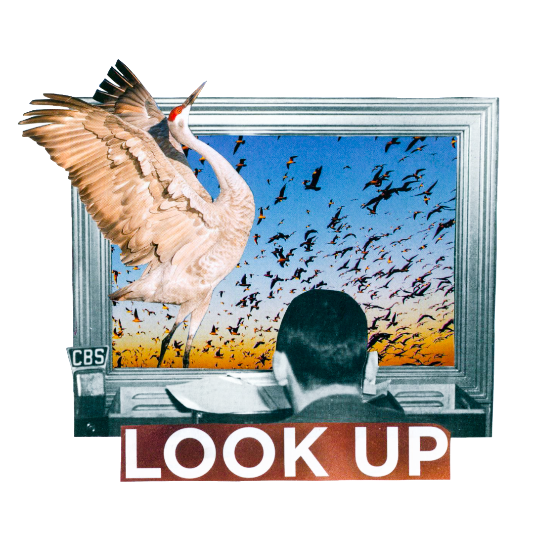 scnnedcollageedits-26-lookup.png