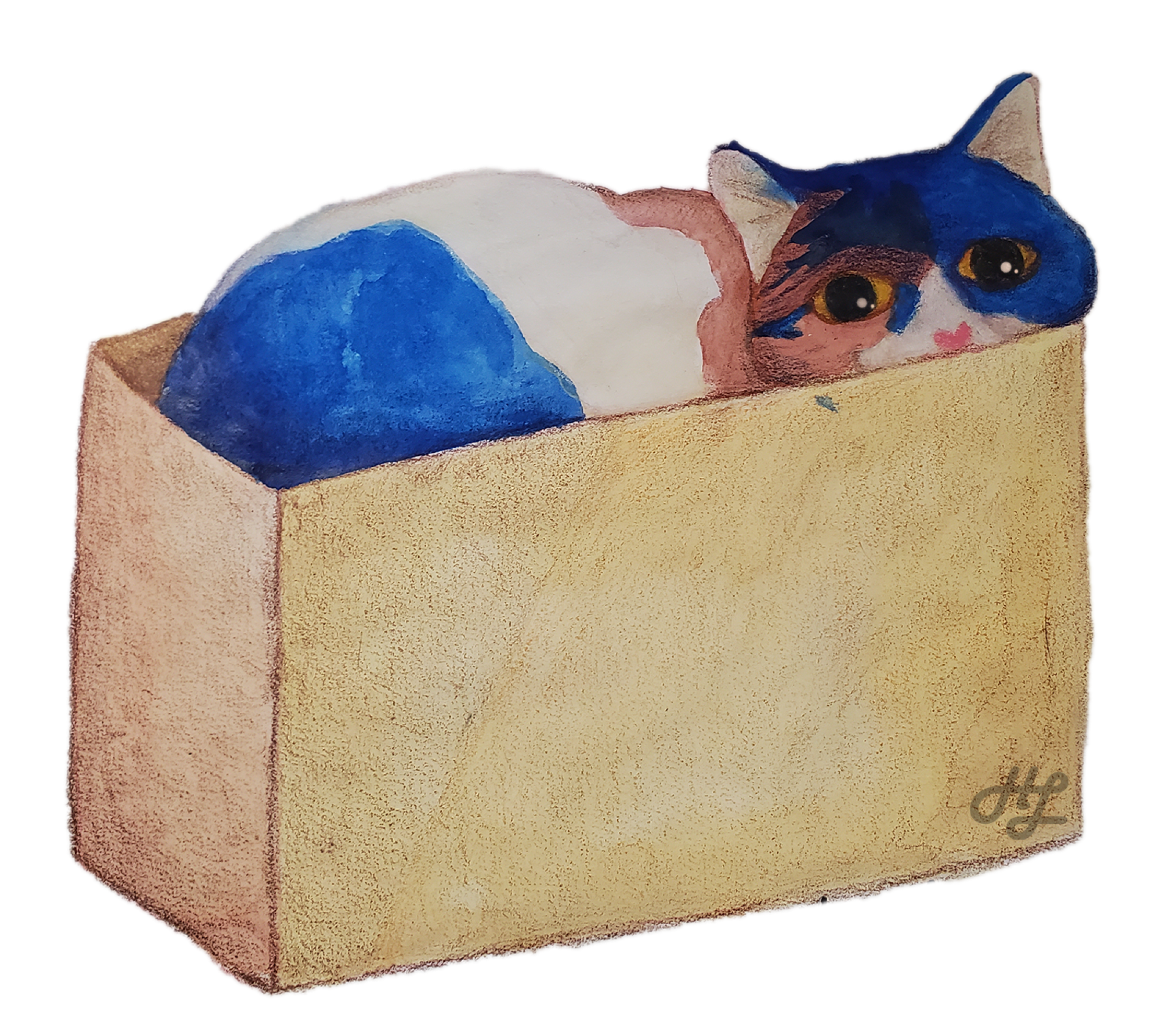rosieboxpng 1.png