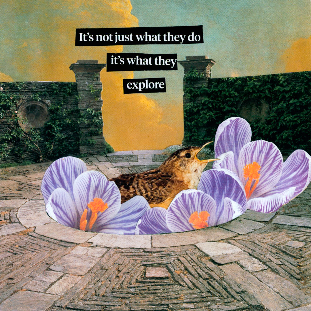 scnnedcollageedits-14-explore.png