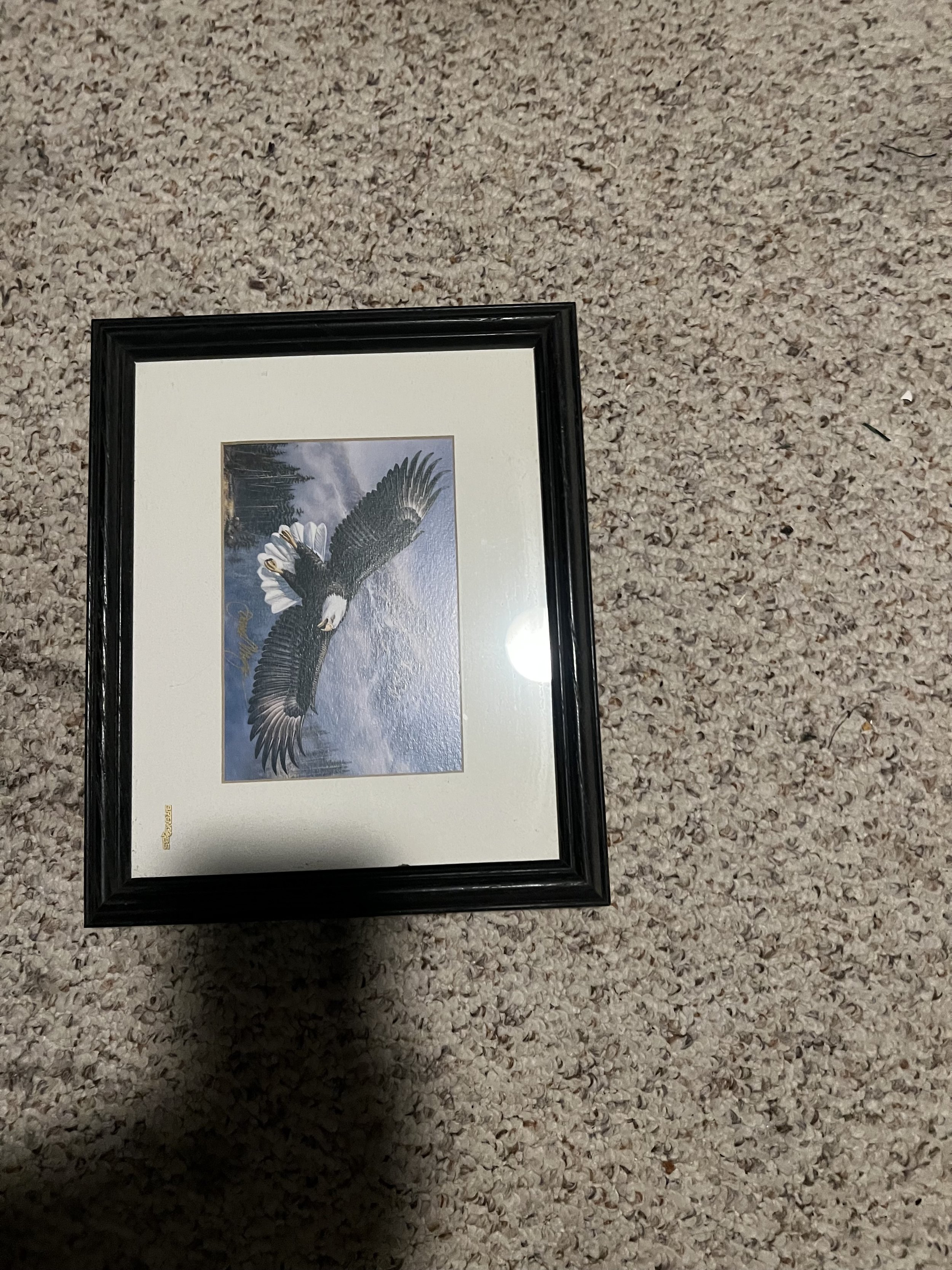 brenco pic from my dad