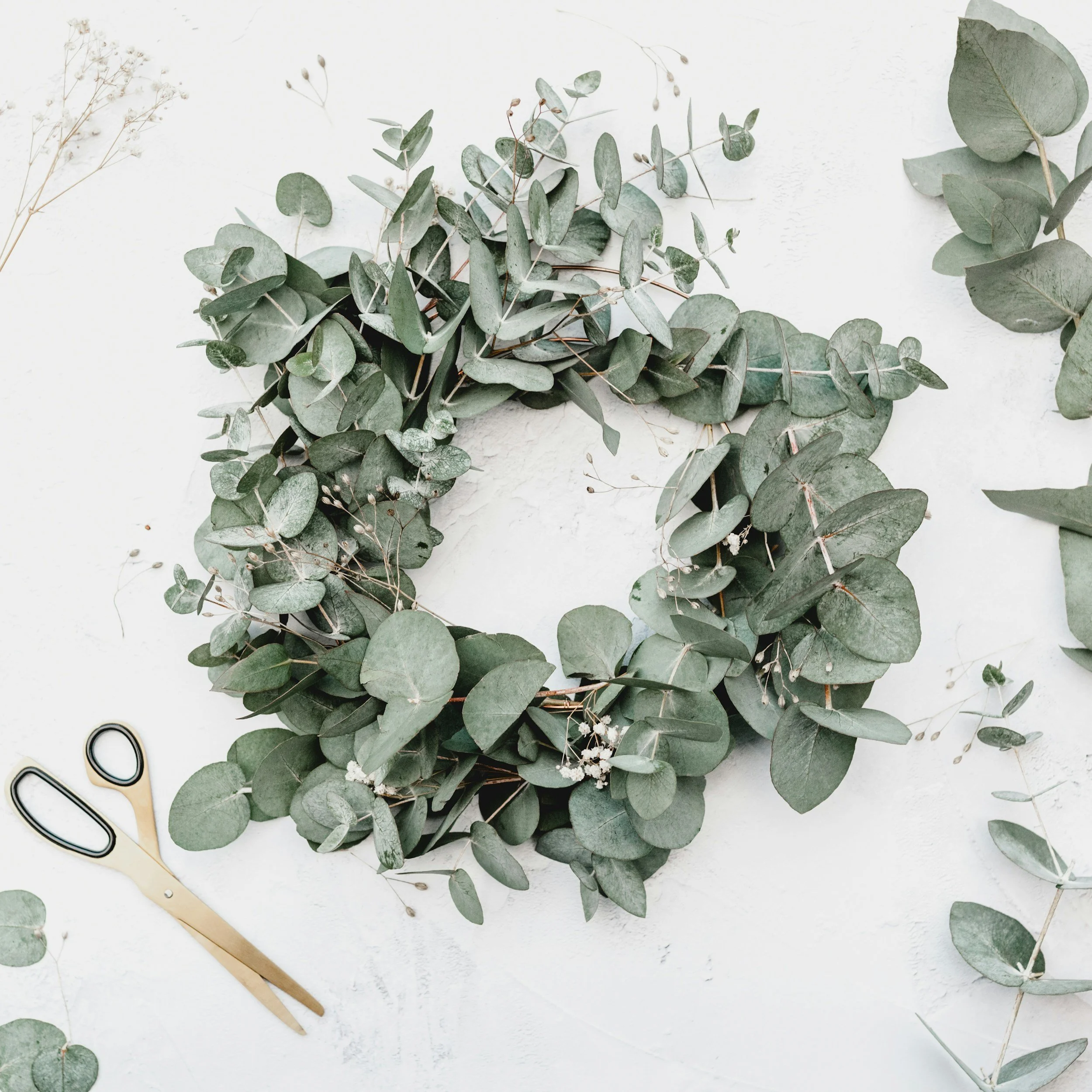 DIY Spring Door Wreath: Welcome the Season Sustainably