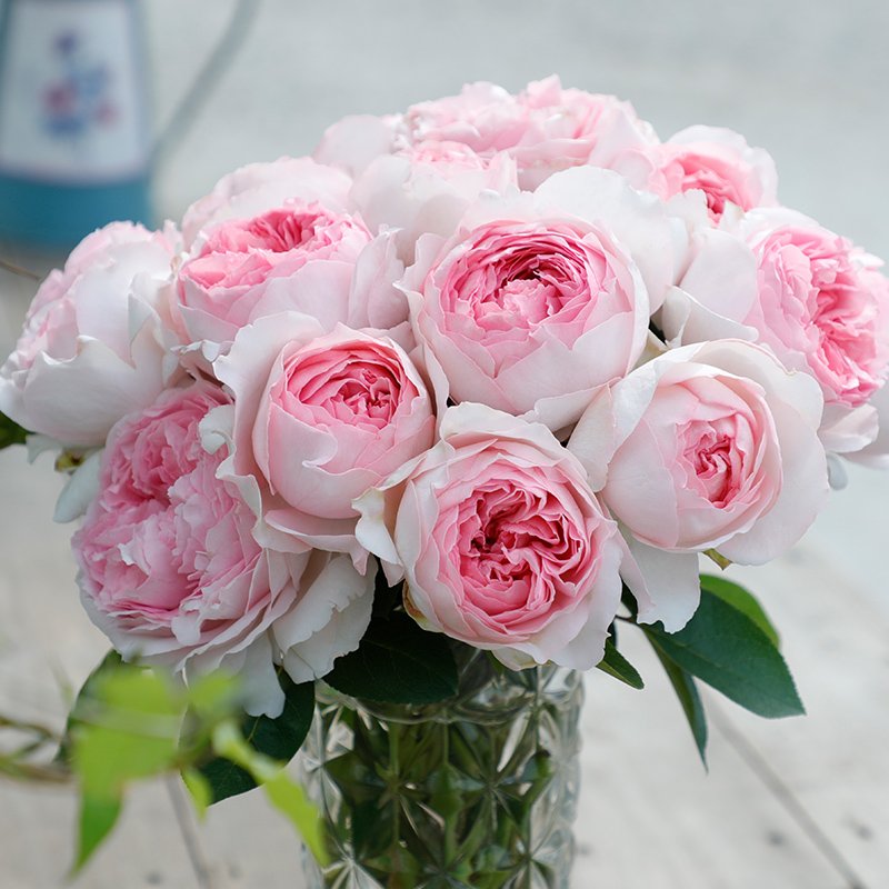 Yves L’esprit de fille: Elegance in bloom