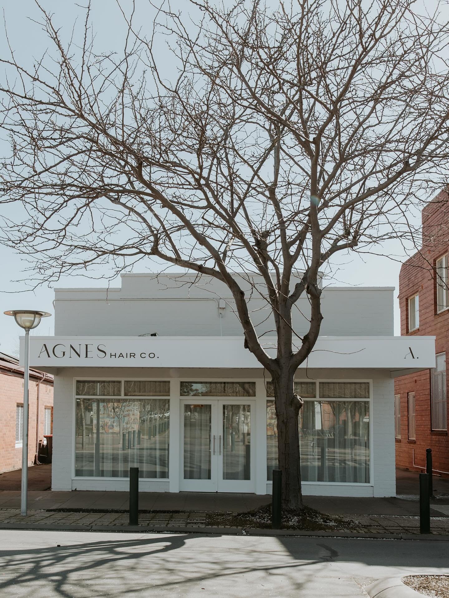 🤍

#agneshairco #taturahairsalon #taturahairdresser #tatura