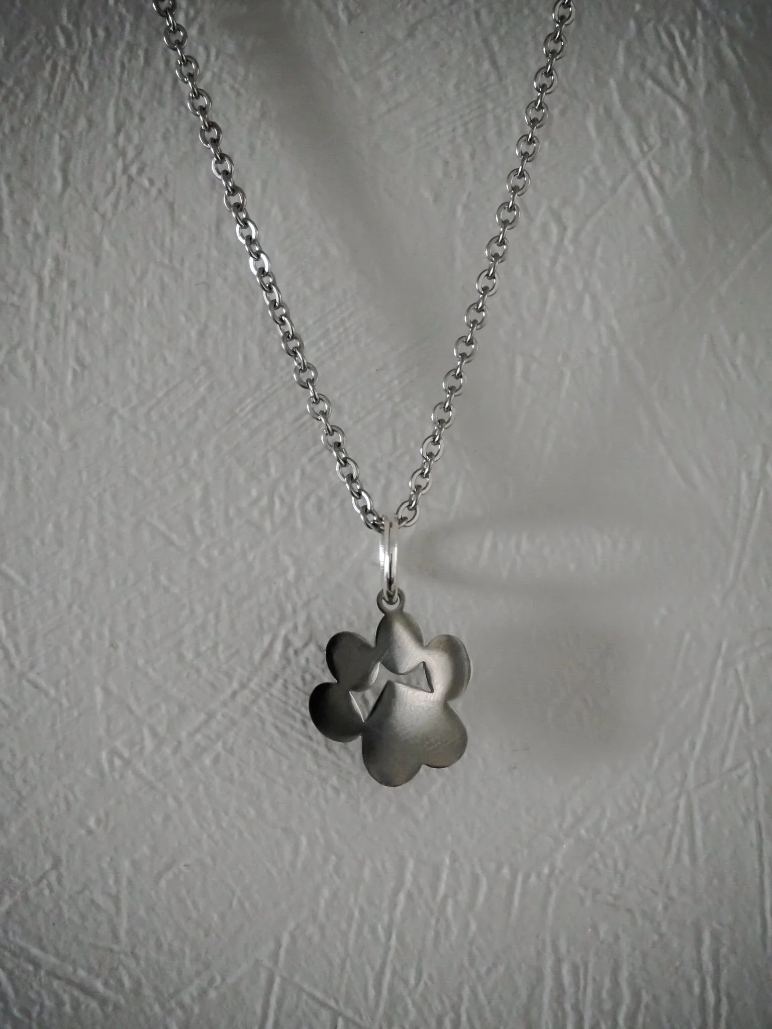 Stainless Steel Paw: Necklace