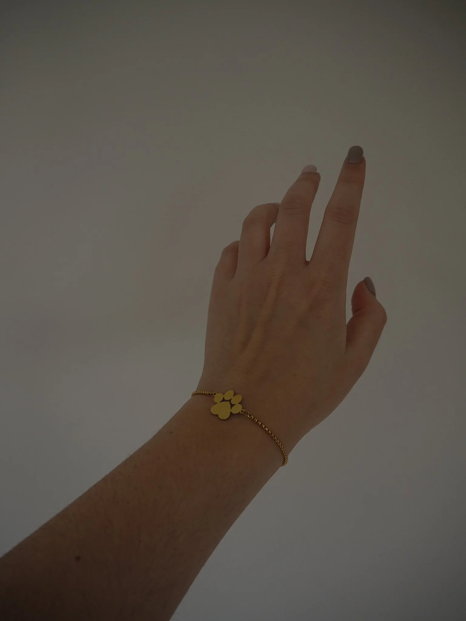 Stainless Steel Adjustable Paw Bracelet