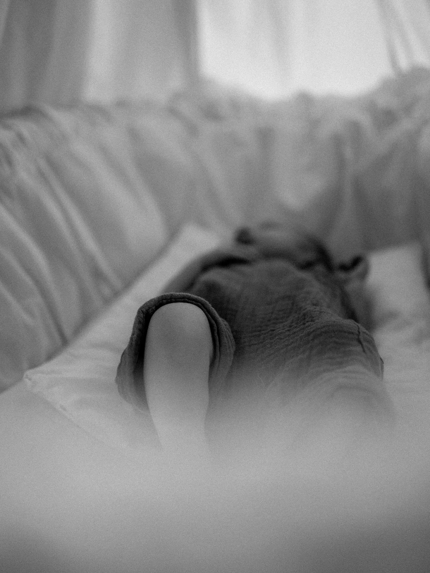 Homestory details of little A🤎🧸