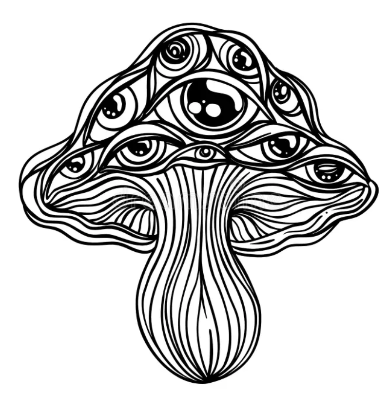 Psychedelic Series: Before the Journey