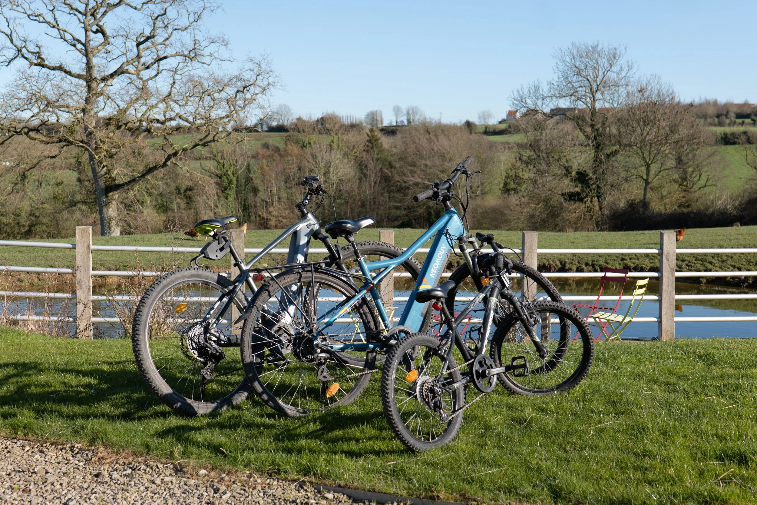 Location de vélo