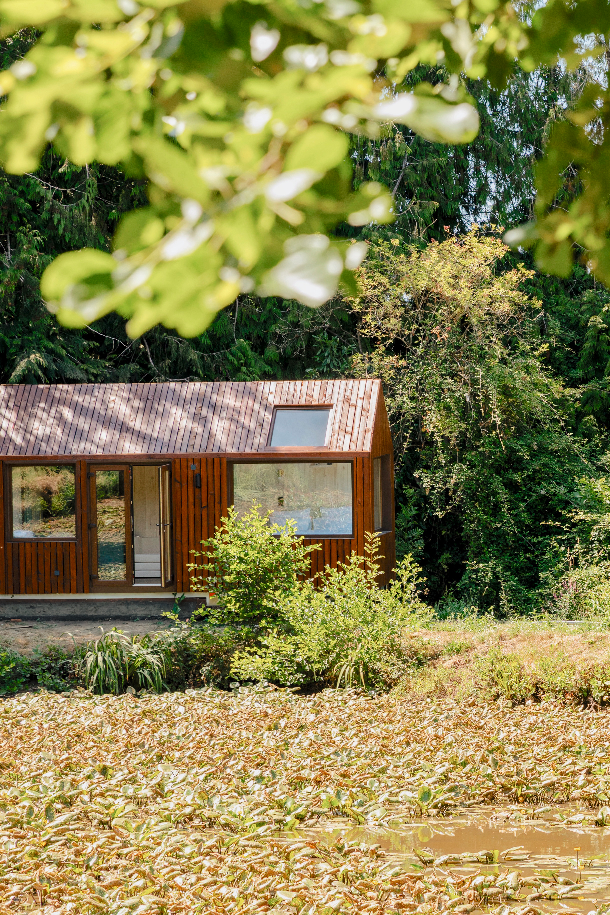 Une petite maison en bois entourée de végétation, avec des fenêtres et une porte, en arrière-plan des arbres et un étang ou une mare avec des plantes aquatiques.