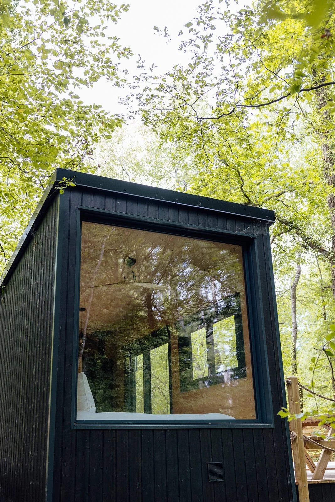 Une petite cabane noire en bois avec une grande fenêtre en verre, située dans une forêt avec des arbres en feuillage vert.