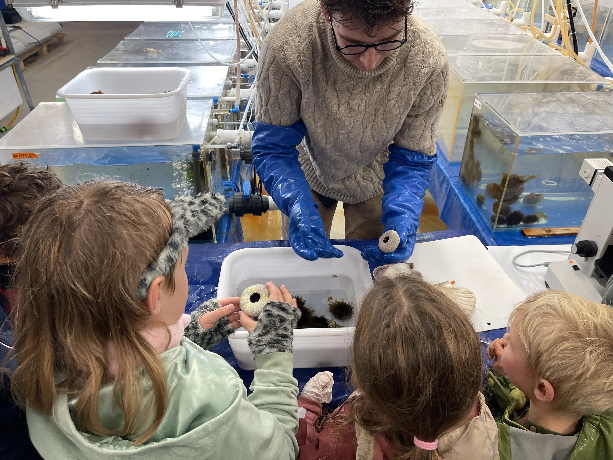 A day of discovery at NIBIO