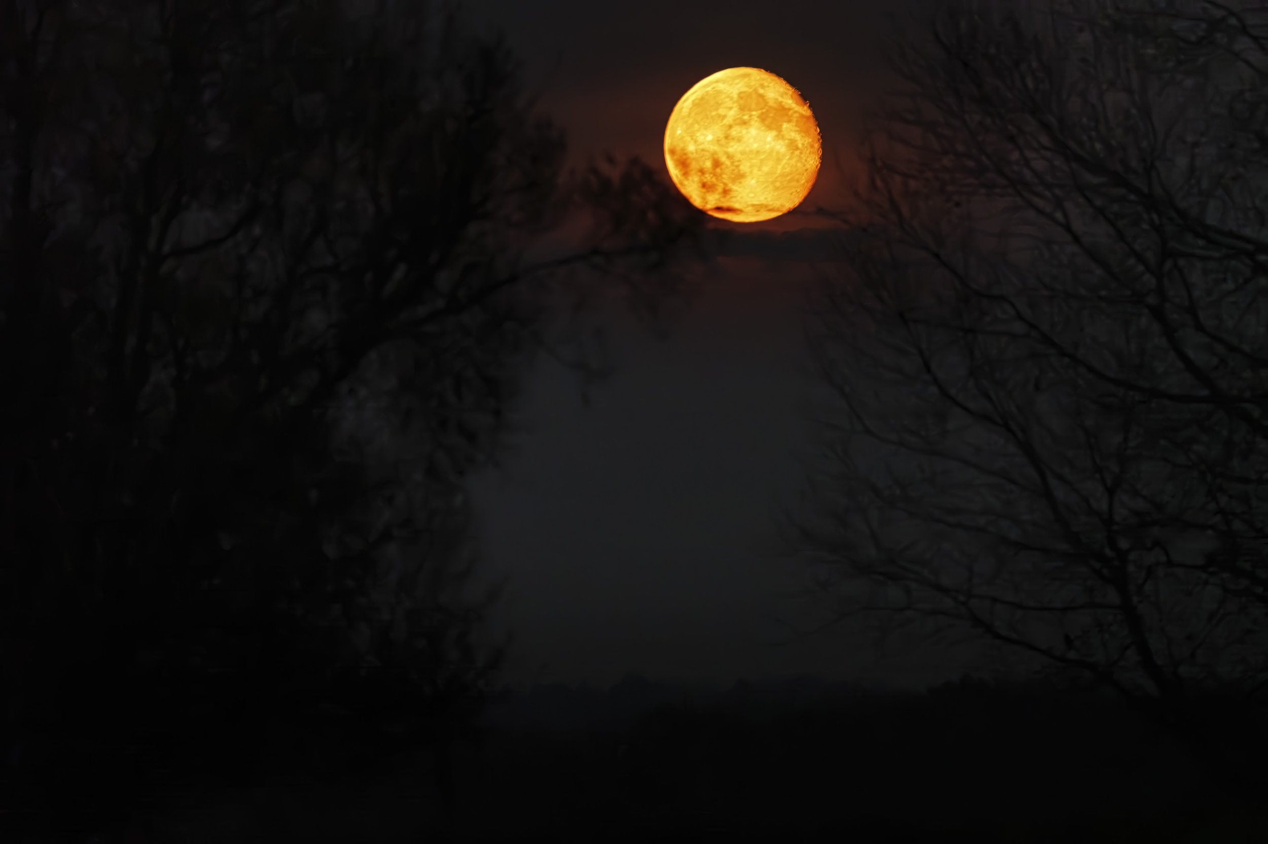 2025-11-10. On 7 November, I was driving north of Roskilde (Denmark) to the assembly of the Danish nature photographers, where I was attending the annual meeting as a guest speaker and the judge of their annual photo competition. The Moon was rising 