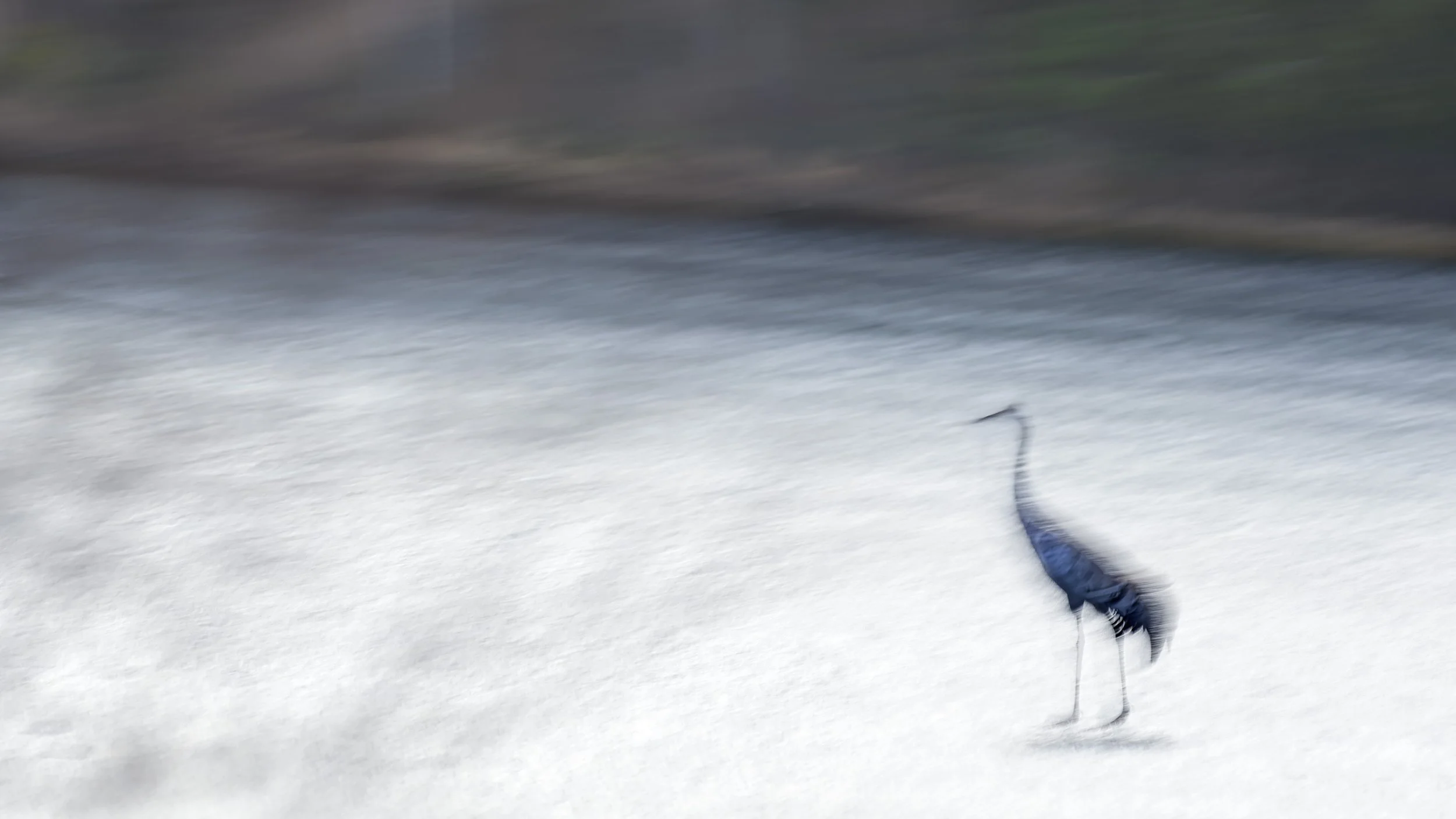 2026-03-23. I'm on a longer van tour in Värmland in Sweden, seeking images of the arriving spring. I no longer feel the same need to make everything perfectly sharp, as I once did. There was a time when precision defined the image, when clarity meant