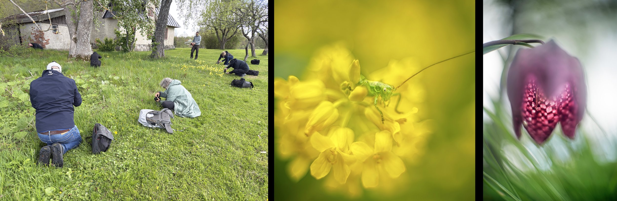 2026-05-19. Another workshop weekend has come to an end - this time focused on vintage lens photography with Tyresö Fotoklubb. Thanks to all participants for the enthusiasm and engagement 🙏 It is very stimulating for me as well, and the group produc