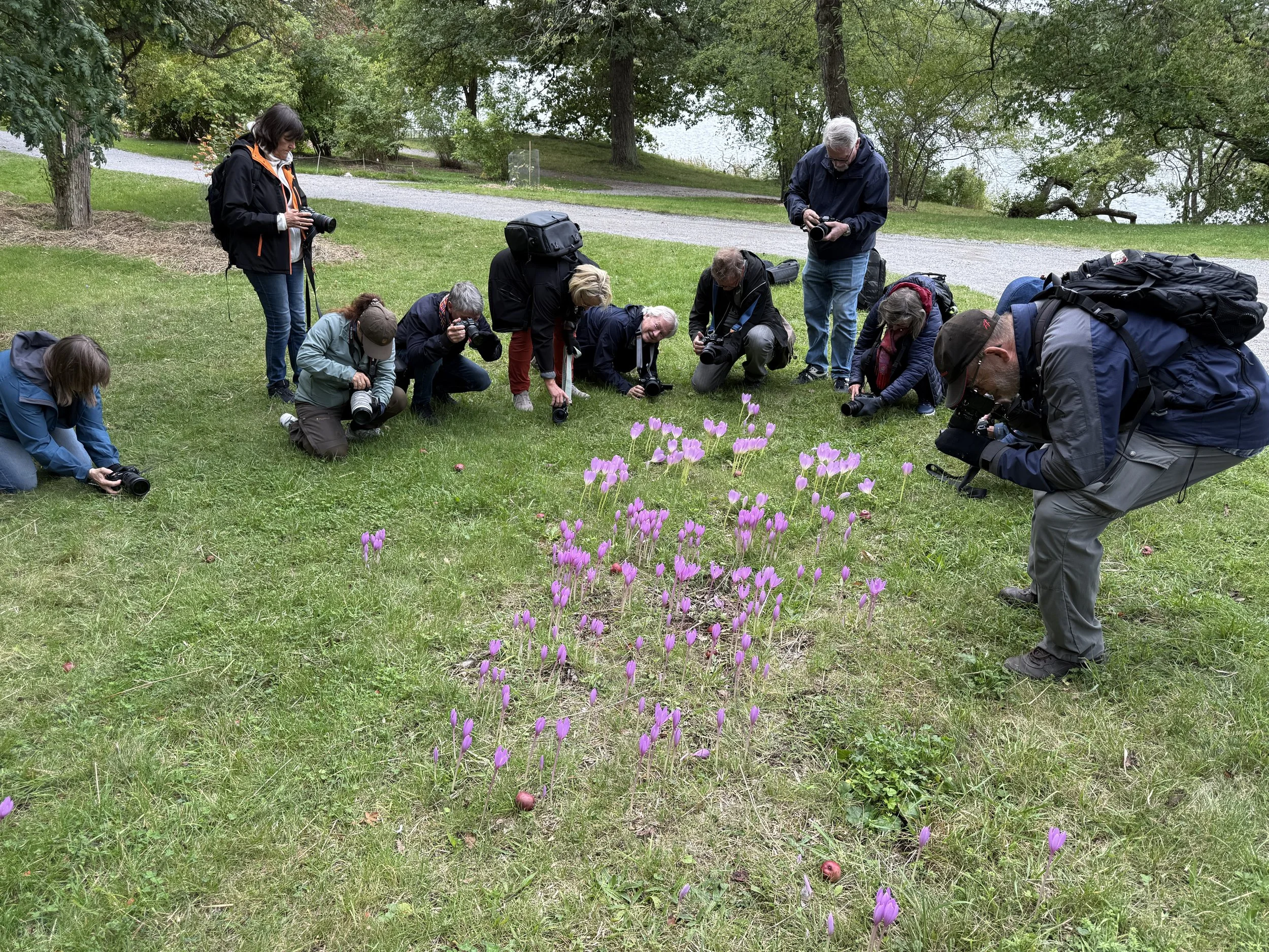 2026-09-19. Last weekend, I had the pleasure of leading a workshop in “Painting with the Camera” for "Sundbyberg  Fotoklubb".  A weekend where we stepped away from traditional photography for a while and explored how camera movement, light, and time 