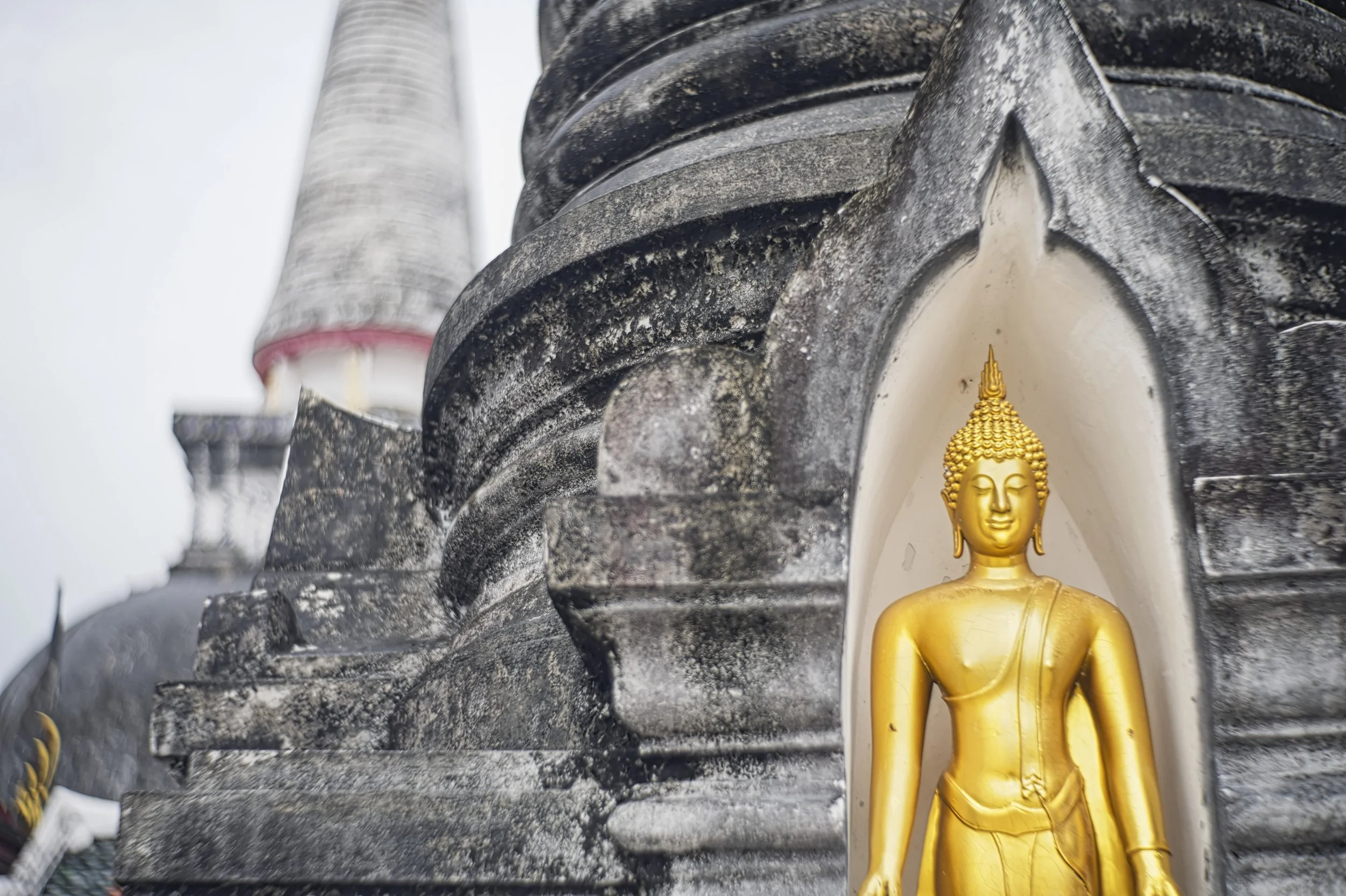 2026-02-07. I am on a longer journey through Thailand, continuing to Vietnam. In southern Thailand, I travel through humid forests, home to some very famous national parks, and to me, still-unknown wetlands filled with wildlife. The landscape feels r