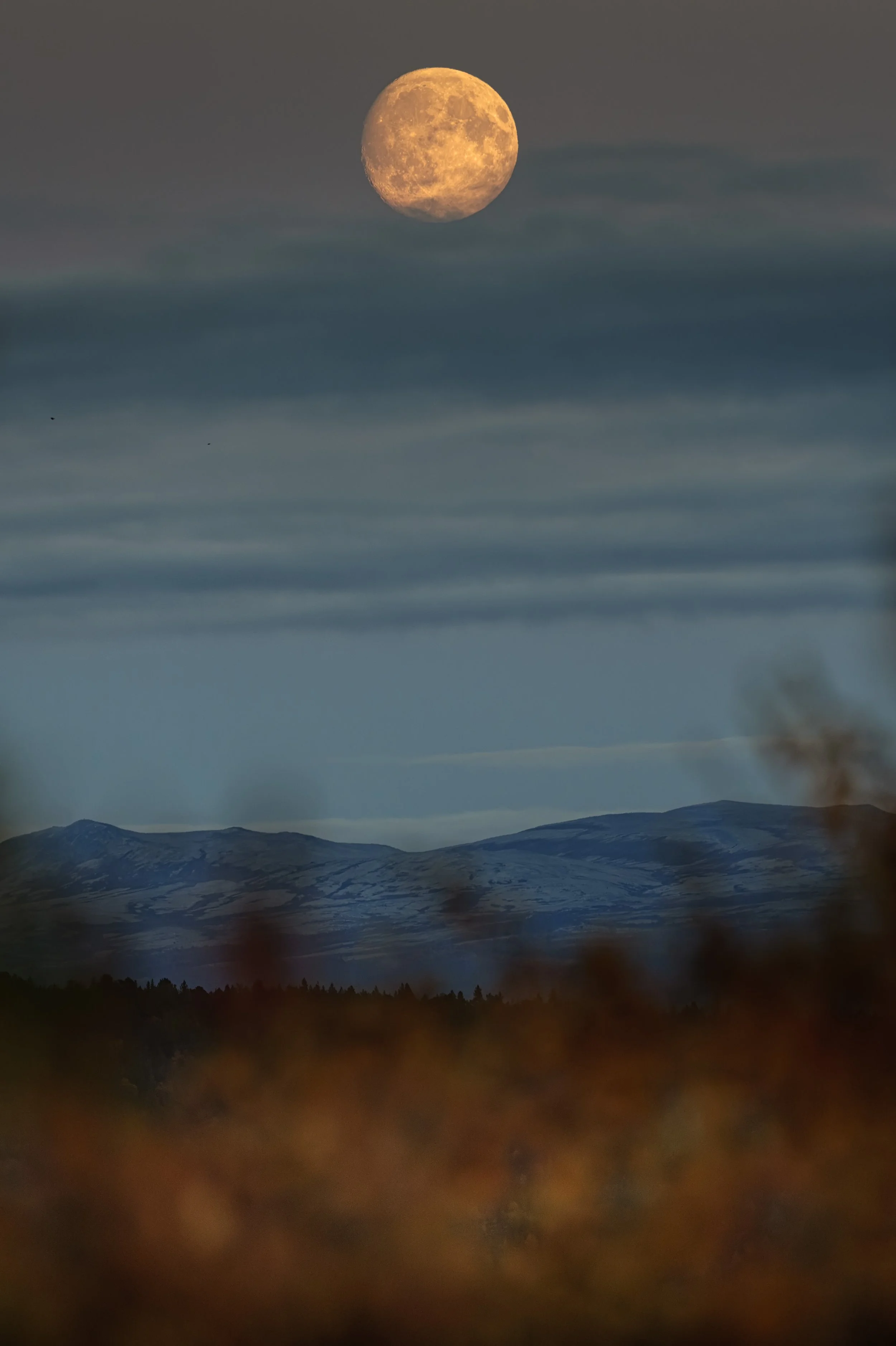 2026-09-30. Back to Norway – Chasing the Brief Gold of Autumn. Norway again, shortly after the previous trip in August. I am travelling faster than I can keep up with my own photographs. After all the intense photography of recent months, I find myse